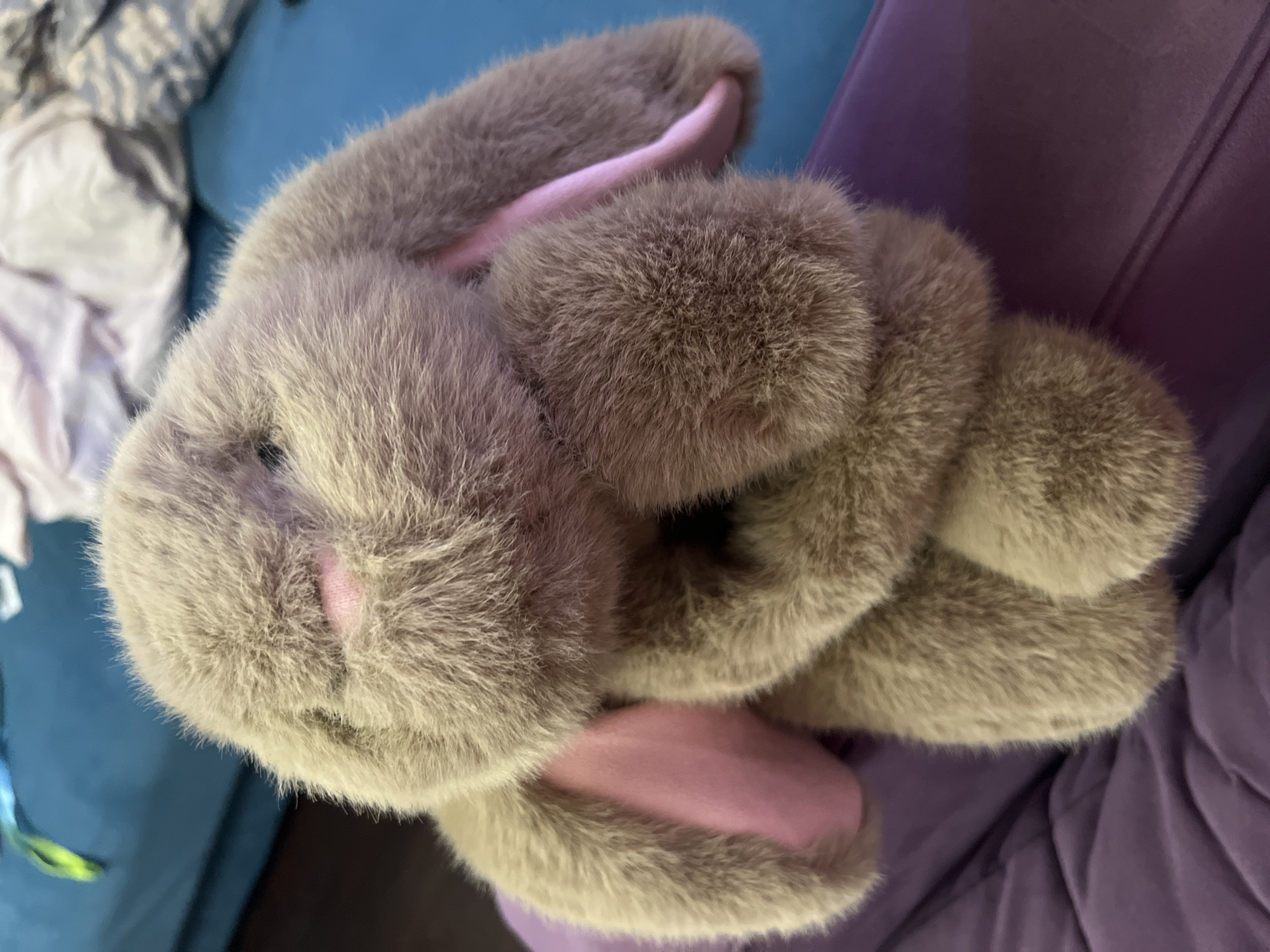 A plush, grey bunny toy lies on a purple surface. Part of a blue couch and light-colored bedding are visible in the background. There is no evidence to suggest the location is Moscow, Russia.