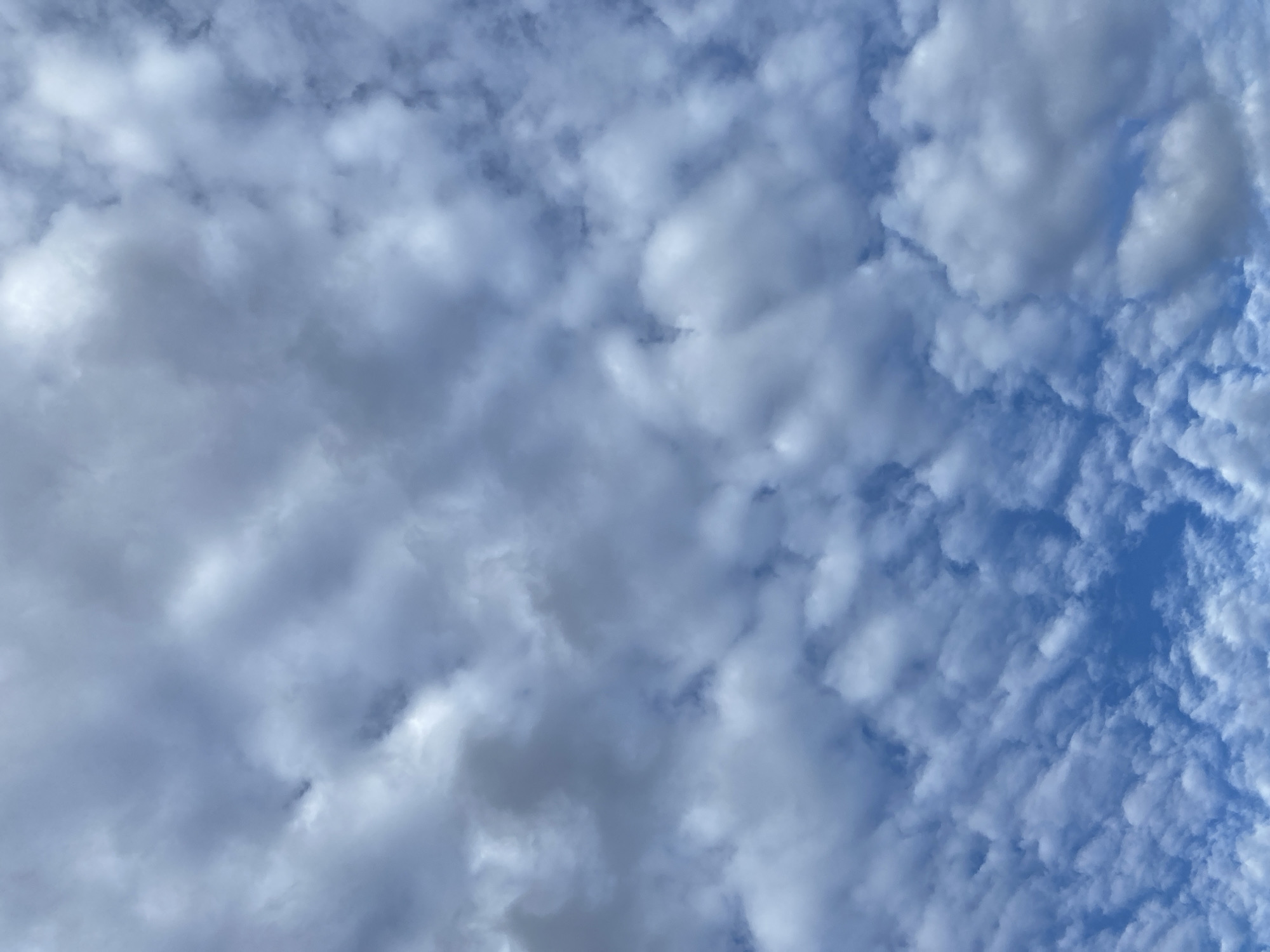 The image displays an expansive daytime sky over Gura Top, Nigeria, dominated by a diverse cloud cover. The upper two-thirds of the frame present a dense formation of greyish-white clouds, some exhibiting distinct undulating or wave-like patterns, largely obscuring the deeper blue sky behind them. Progressing towards the lower portion of the image, the cloud cover becomes more fragmented and less dense, appearing brighter white and allowing for significant patches of clear light blue sky to be visible, particularly towards the bottom left. No human subjects, man-made structures, ground features, or other objects are present in the frame. The scene is solely atmospheric, indicative of clear daylight conditions.
