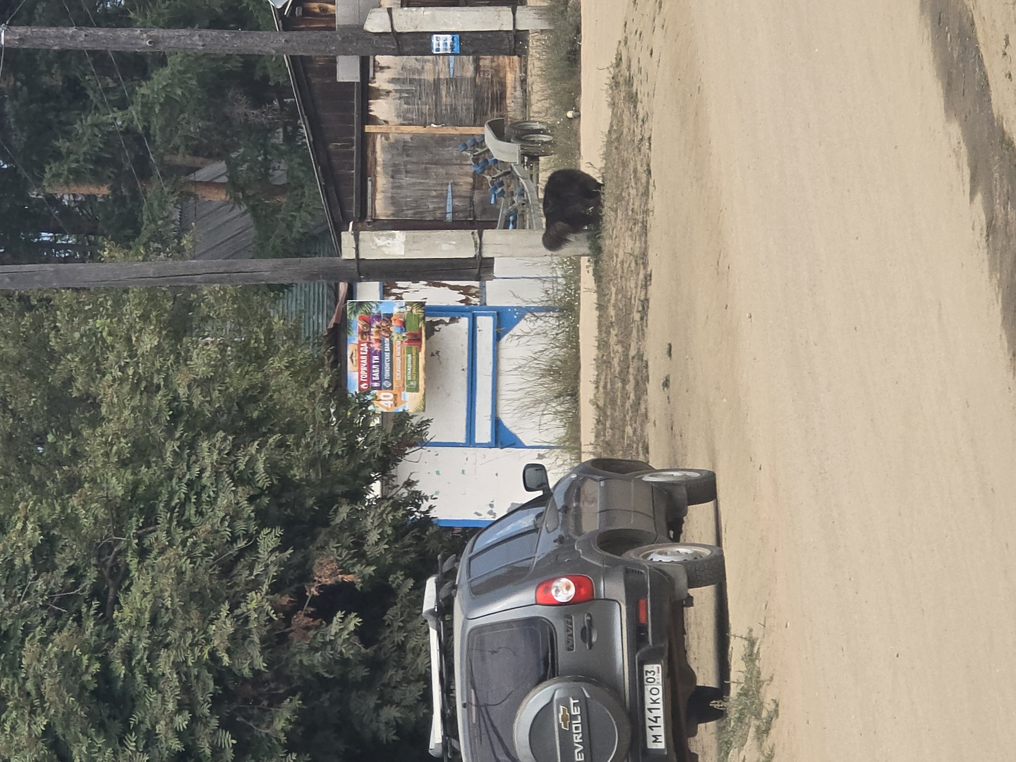 In Maksimikha, Russia, on a dirt road, a dark-colored Chevrolet Niva SUV is parked. The vehicle has a spare tire mounted on the rear door and a roof rack. To the right of the SUV, a dark-colored bear is visible, facing away from the camera, and appearing to sniff at the ground near a utility pole. In the background, a wooden fence with a large double door is present, alongside a small trailer with blue components. A poster is attached to a white structure to the left of the fence. Trees are visible in the upper background.