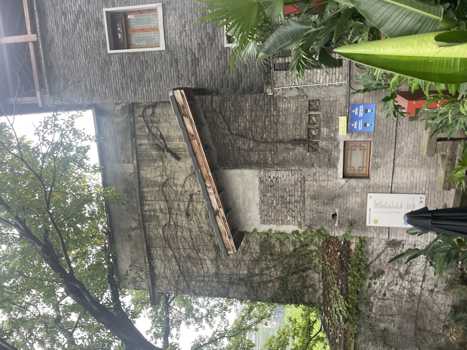 The image shows the exterior of a brick building covered in vines, located at 29.56° N, 106.592° E in Chongqing, China. The building appears to be a section of a larger complex. There are two small windows on the wall and a sign that reads "Shang-Lane" on the building. There is a small, wooden awning extending from the side of the building. Lush green foliage is growing on the side of the building and in front of it. A black umbrella is in the lower right corner of the image. No people are visible in the image.
