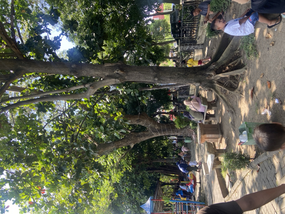 The image depicts a park in Kecamatan Sidoarjo, Indonesia, located at coordinates -7.442 latitude and 112.705 longitude. A large tree with exposed roots dominates the scene, casting shade over a group of people. Two women are seated on a bench to the left of the tree, while a man sits on the ground nearby. A child in a yellow shirt stands near the edge of the frame and a boy in a blue shirt sits on the ground with his legs crossed. There is a small playground structure in the background, and a few other people are visible in the distance. The ground is covered in small stones and patches of green grass. A green trashcan is situated near the base of the tree. The overall environment appears to be a public park, with a relaxed and peaceful atmosphere.