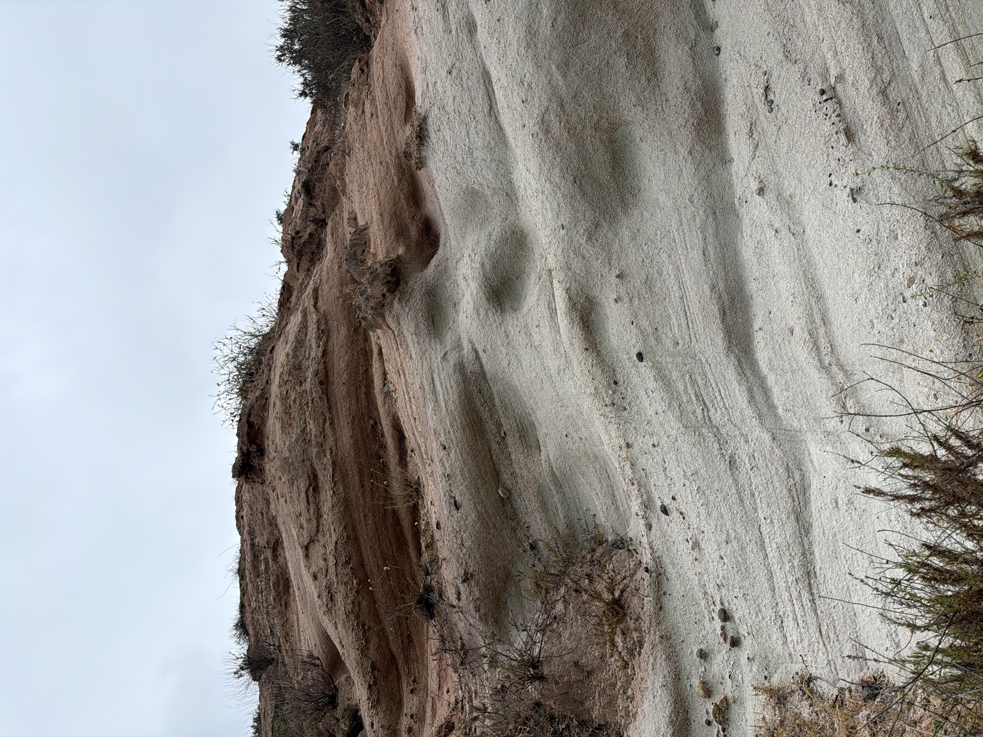 The image displays a close-up view of a sandstone cliff face, characterized by its textured surface and varied coloration. The cliff exhibits distinct vertical striations and undulating patterns, suggesting erosion over time. The left side of the cliff is a darker, reddish-brown hue, transitioning to a lighter, grayish-white color on the right. Small, sparse vegetation, appearing dry and twig-like, grows from crevices and along the top edge of the cliff. The sky above is overcast, with a pale, diffused light, indicating a cloudy or overcast day. The scene is a natural landscape, likely a geological formation. No people, objects, or text are visible in the image. The image appears to be taken from a low angle, looking up at the cliff face. The overall mood is one of natural stillness and the grandeur of geological processes. The location context provided is Lake Forest, USA, which aligns with the presence of natural, possibly arid or semi-arid, landscape features.