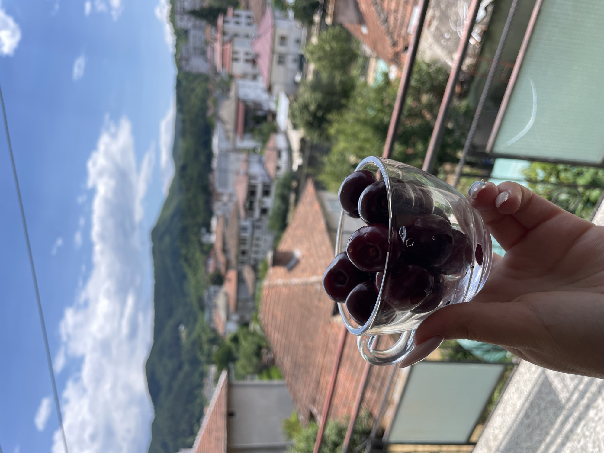 A hand holds a glass cup filled with dark red cherries against a backdrop of a town nestled in a valley. The cup is transparent, with a handle, and sits at an angle. Several cherries are visible within the cup, their surfaces glistening. The background reveals a cluster of buildings with terracotta roofs, suggesting an urban or semi-urban setting. Beyond the buildings, green hills rise, and the sky is a bright blue with scattered white clouds. The scene appears to be captured from a balcony or elevated vantage point. The general impression is one of a summer day in a picturesque location. The town depicted is Zlatograd, Bulgaria.
