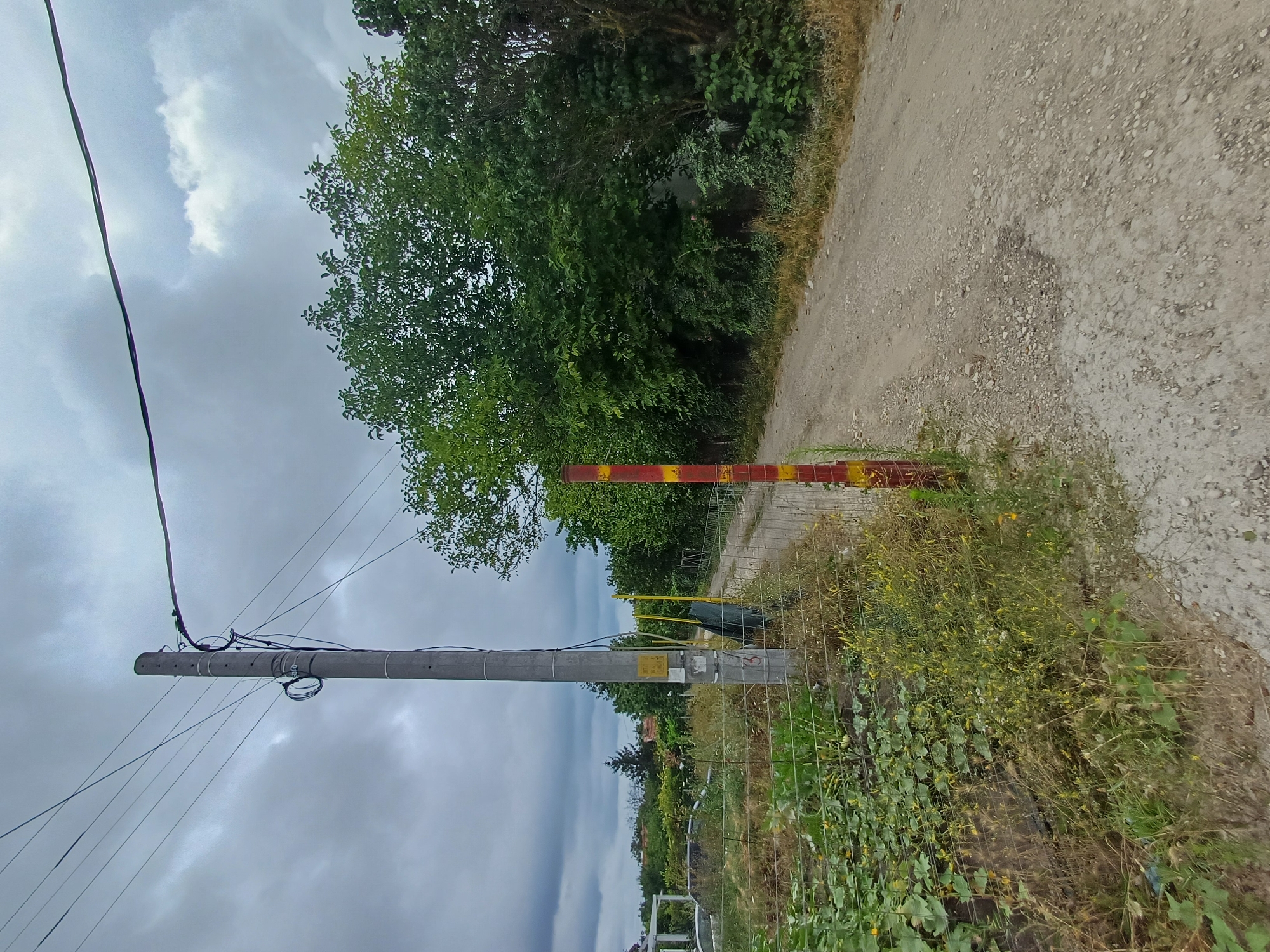 The image depicts an outdoor scene on a dirt road in Varna, Bulgaria, under a cloudy sky. On the left side of the road, a concrete utility pole stands tall, supporting multiple wires. Adjacent to the pole is a wire fence bordering an area with lush green plants and some yellow wildflowers. A red and yellow striped post is visible at the edge of the road, near the fence. The dirt road extends into the background, flanked by dense green trees and vegetation. The overall impression is one of a rural or semi-rural setting within the city limits.
