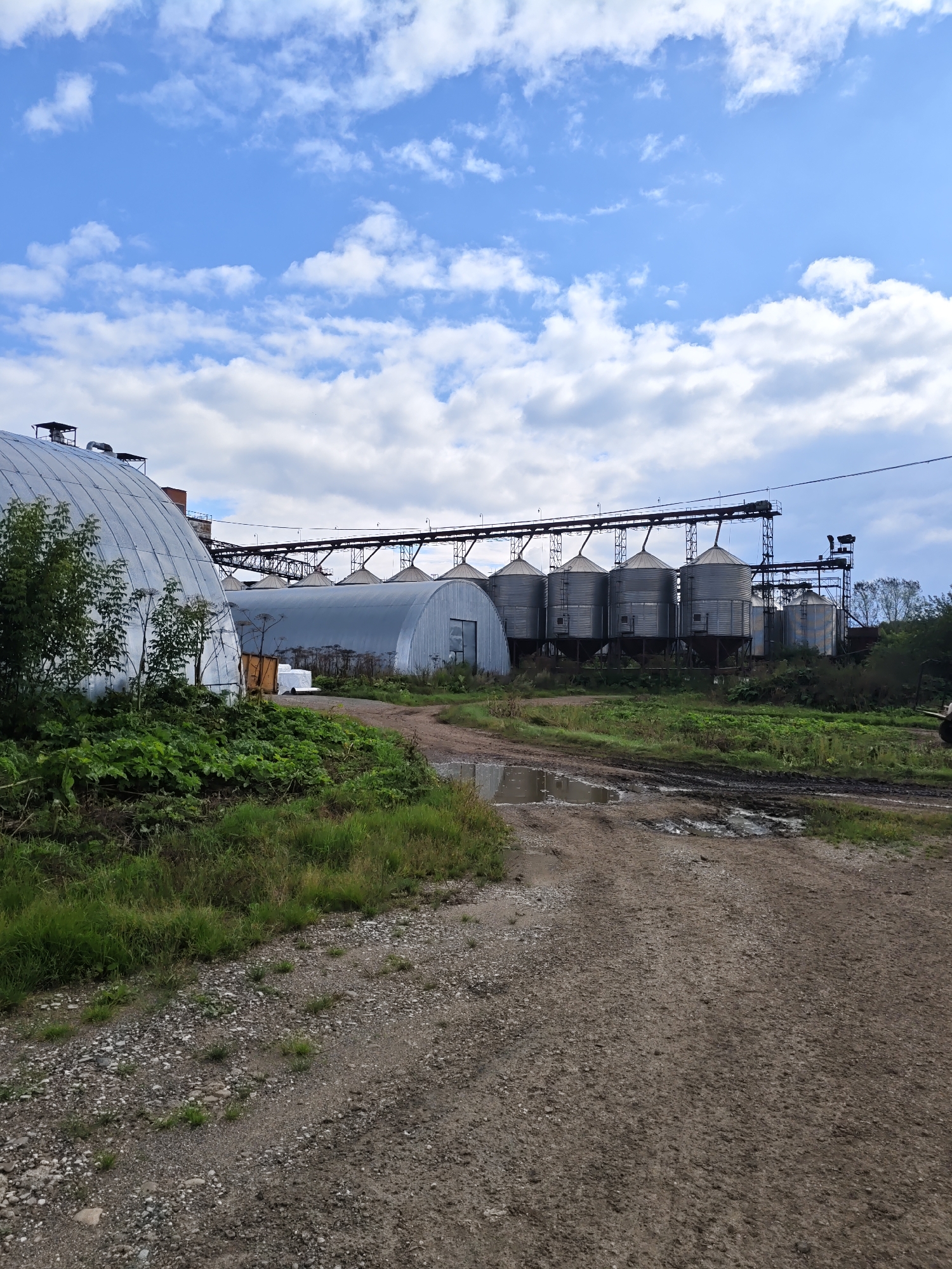 The image captures an industrial scene in Platoschino, Russia. In the foreground, a dirt road with puddles of water and mud leads towards the right. To the left of the road is a grassy area with lush green vegetation and a large, arched greenhouse structure with a metallic roof. Beyond the greenhouse, a line of large, cylindrical grain silos stands tall, connected by a conveyor belt system. The silos are silver and appear to be made of metal. Further in the background, a cluster of trees and more industrial structures are visible under a sky filled with fluffy white clouds. The overall impression is one of a working agricultural or industrial facility on a cloudy day.