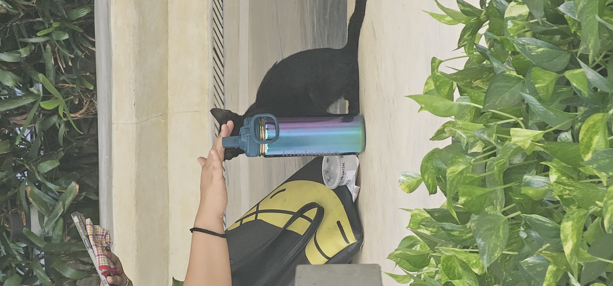 A black cat sits on a light-colored ground next to a colorful water bottle and a yellow and black bag. A person's hand is resting on the cat's head, stroking it. The background consists of green foliage and a textured wall. This scene is in Makati, Philippines.