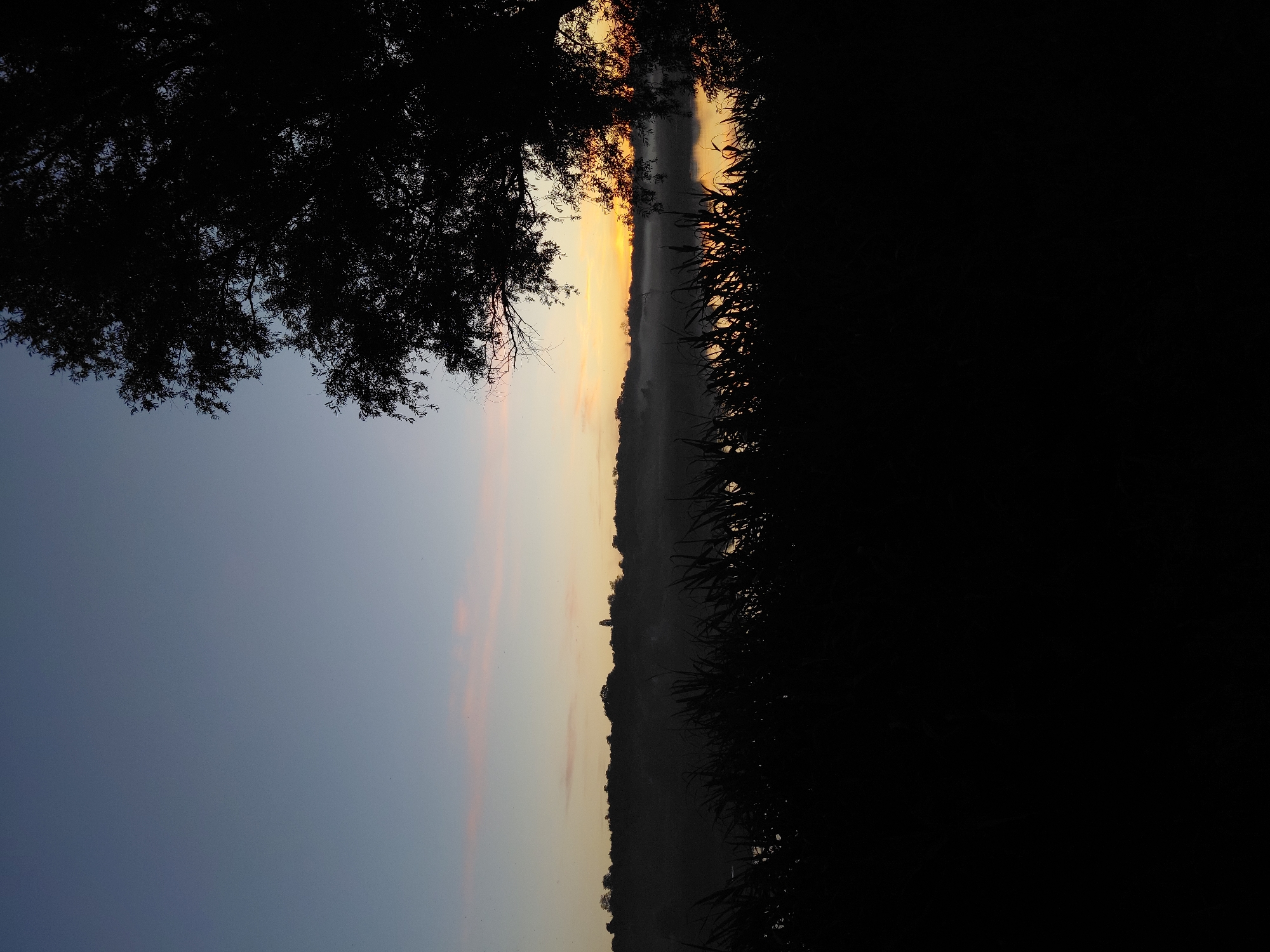 The image depicts a serene dawn scene over a body of water, likely the Uzh River, near Ustyvytsia, Ukraine. Silhouetted reeds and tall grasses frame the foreground, creating a dark, textured barrier. Beyond this, a gentle slope of land is visible, its trees and undulating contours softened by a light mist rising from the water. The Uzh River itself is a calm expanse reflecting the soft, warm hues of the rising sun, which is just peeking over the horizon, casting a golden glow on the water and a faint pink blush on the clouds above. The sky transitions from a deep blue at the top to pale yellow and orange near the horizon. A single, small structure, possibly a steeple, is faintly visible on the distant ridgeline, adding a touch of human presence to the natural landscape. The overall atmosphere is one of tranquility and the quiet beauty of the early morning.