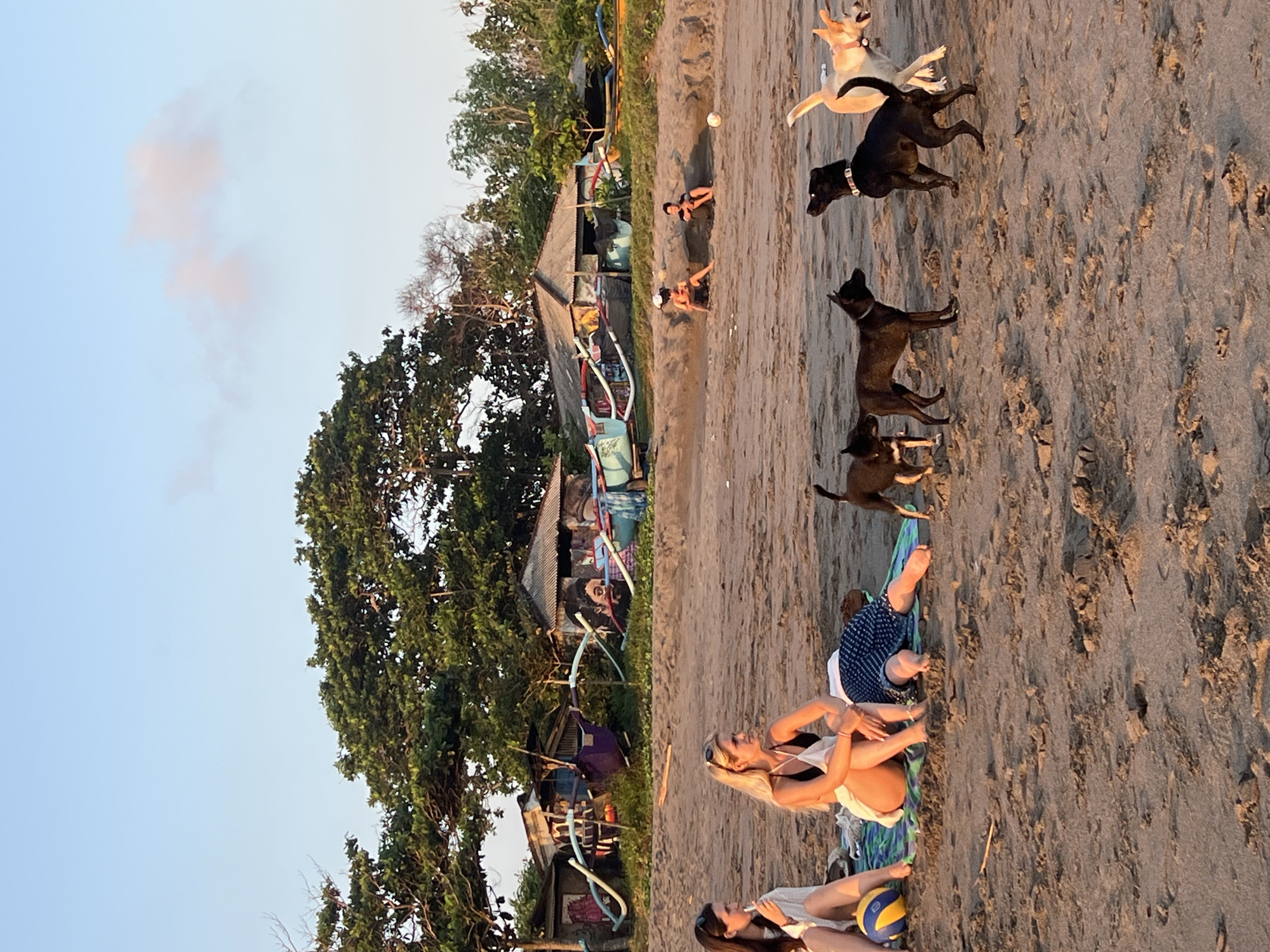 A group of people and dogs are on a sandy beach in North Kuta, Indonesia, at sunset. In the foreground, two women are sitting on a blanket. One is wearing a white top and skirt, and the other is wearing a white top. They are next to a blue and yellow volleyball. Several dogs are present on the beach, some interacting with each other and others standing still. In the mid-ground, two men are sitting on the sand, one is playing with a white ball. Behind them, there are a few small buildings with thatched roofs and colorful boats are parked on the beach. The sky is clear with a few wispy clouds.