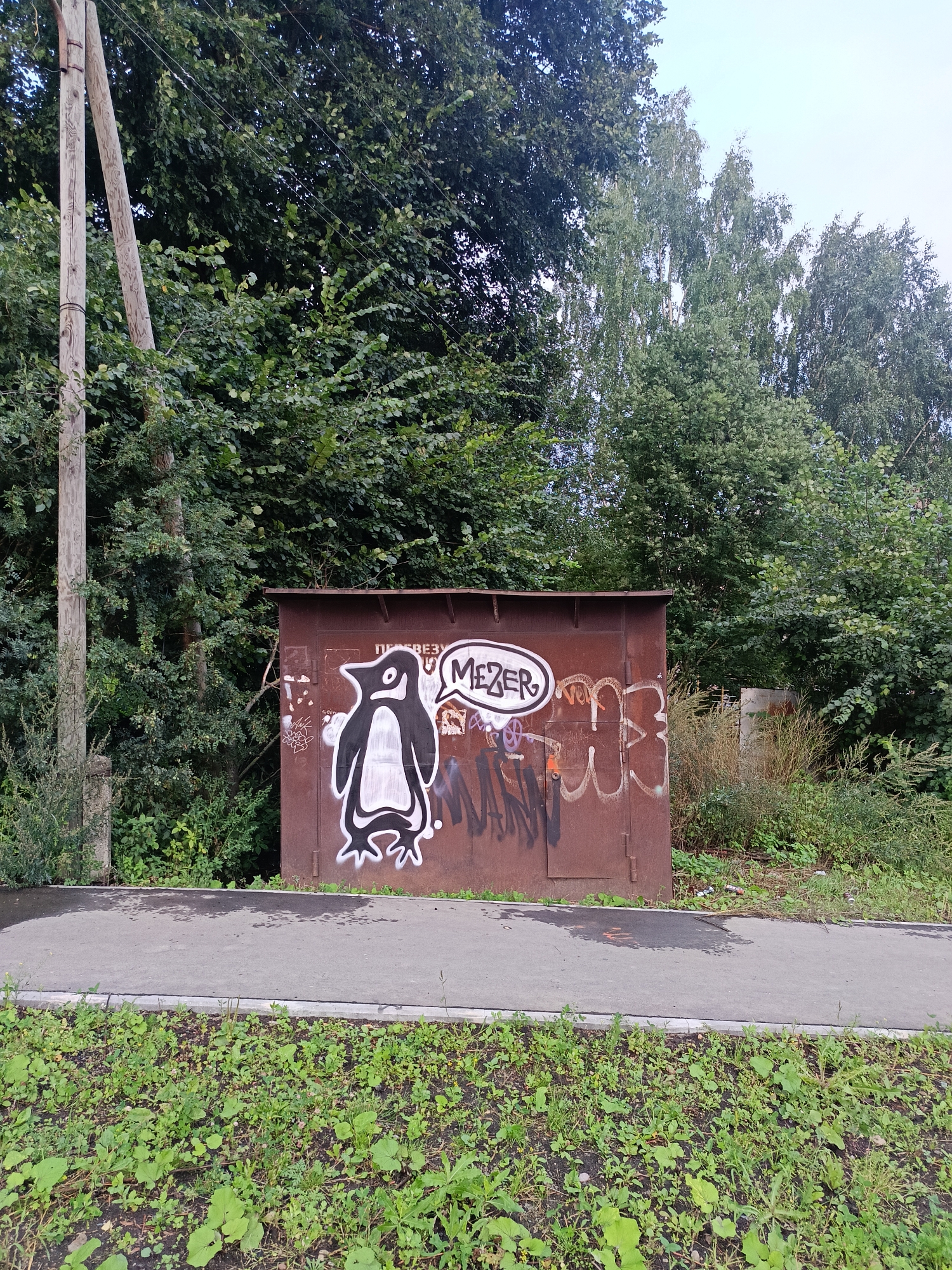 An exterior, eye-level shot captures a rusted, metal garage door adorned with graffiti. A stylized black and white penguin is spray-painted on the left side of the door, with a speech bubble containing the word "MEZER" above it. Other graffiti tags are visible on the door. The garage is situated amidst dense green foliage and trees, with a wooden utility pole to its left. A paved walkway runs in front of the garage, bordered by a patch of green grass and plants. The sky above is overcast and light blue.