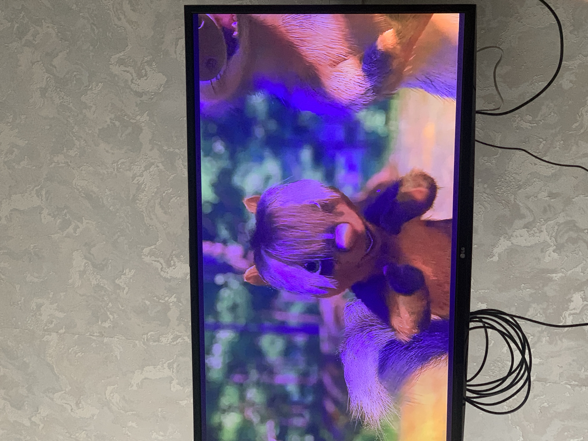 This media file is an image of a television screen displaying a scene from an animated movie. The screen is oriented vertically, and the image on the screen is also displayed upside down. The scene appears to depict two animated characters, possibly animals, with reddish-brown fur. One character is closer to the bottom of the screen and has large, dark eyes and light-colored bangs. The other character is partially visible at the top of the screen, with a similar furry texture. The background is a blur of green and purple, suggesting an outdoor or fantasy setting with some form of lighting that casts a purple hue.
The television itself is a flat-screen LG model, indicated by the logo visible on the right side of the frame. Black cables are connected to the television and are coiled neatly on the right side of the screen, resting against a textured, light-colored wall that appears to be wallpaper. The wall has a marbled or abstract pattern. The overall impression is of a casual indoor viewing environment. No specific time of day or weather conditions are discernible from the image itself, as it only shows the television screen and its immediate surroundings. No text is visible on the screen or in the surrounding environment. The orientation of the screen and image suggests that it may have been photographed in a way that is not standard for viewing.