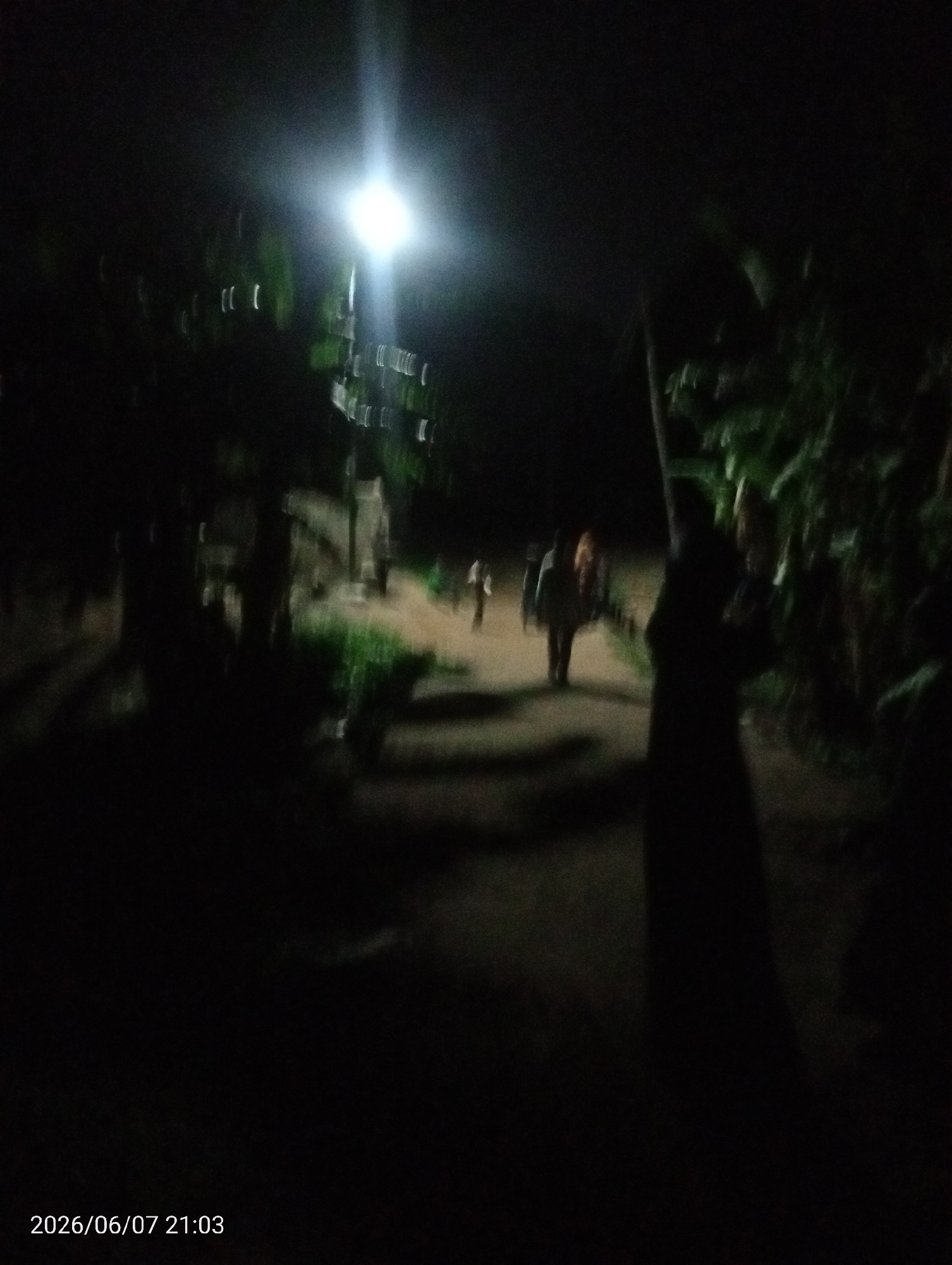 The image presents a nocturnal outdoor scene, identified as a pathway or unpaved road in Gwagwalada, Nigeria, captured at 21:03 on 2026/06/07. A bright, unscreened streetlamp positioned in the upper-middle left corner serves as the primary light source, casting a strong glare and illuminating a central segment of the path. The environment is predominantly dark, characterized by deep shadows and general blurriness, indicative of low-light conditions and possible camera shake or subject motion. Dense, dark foliage, including trees and bushes, flanks both sides of the pathway. Multiple human figures are visible. In the mid-ground, several individuals, appearing to be at least three adults and one smaller figure, are walking away from the camera along the illuminated path. Their forms are largely silhouetted and indistinct. A prominent, heavily shadowed, tall figure stands in the immediate foreground on the right, partially obscured by thick vegetation, and appears to be holding a smaller individual. The ground consists of dirt or unpaved material, visible where illuminated by the streetlamp.