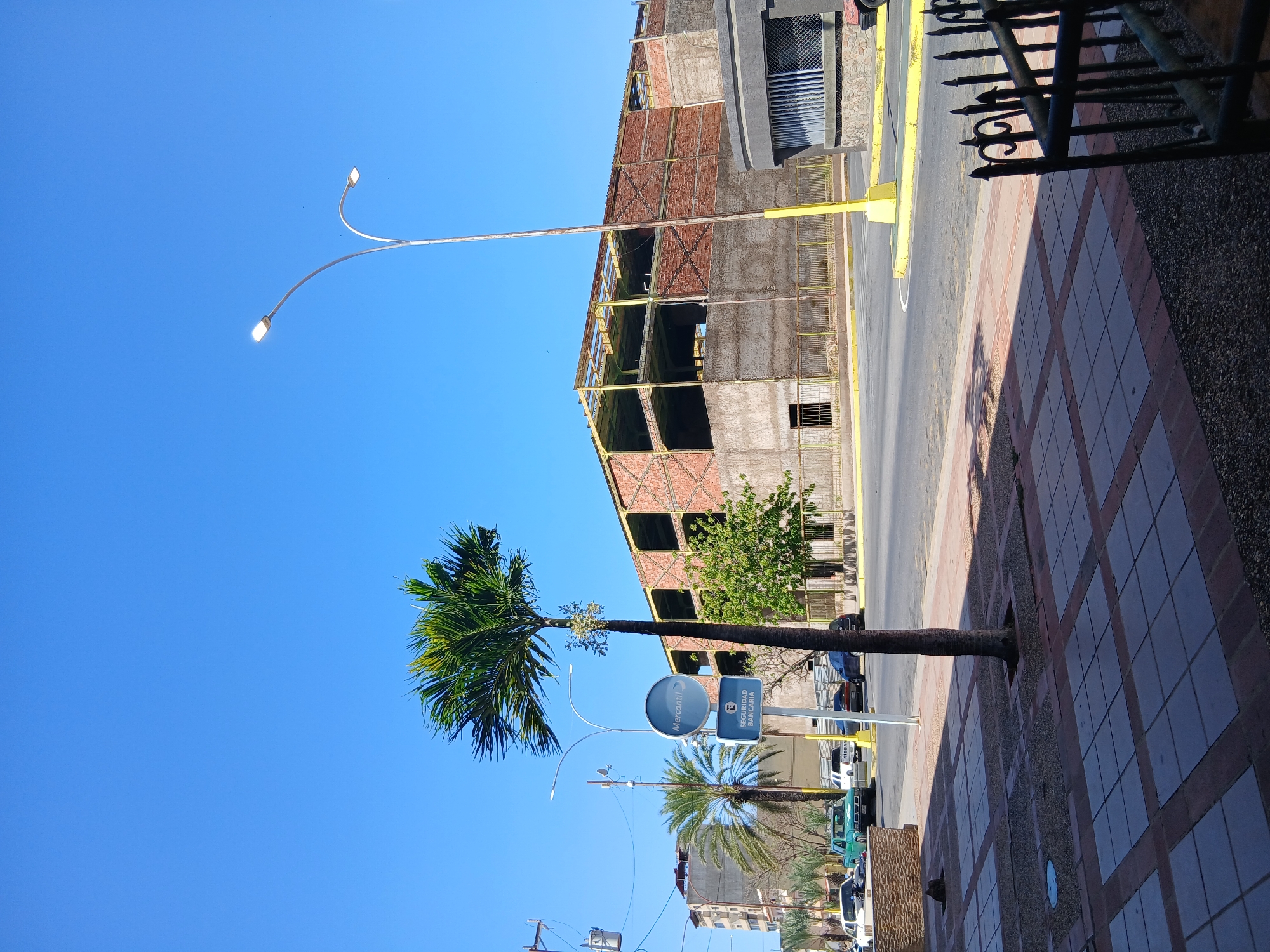 The image depicts a street scene in Juan Griego, Venezuela. The sky is clear and blue. A palm tree emerges directly from the tiled sidewalk. Behind the tree is a commercial building under construction with visible scaffolding and exposed brickwork. Street lamps and bank signs are visible alongside parked cars. The sidewalk is tiled with alternating shades of light and dark brown. The camera is at street level, capturing a slice of urban life in the city.