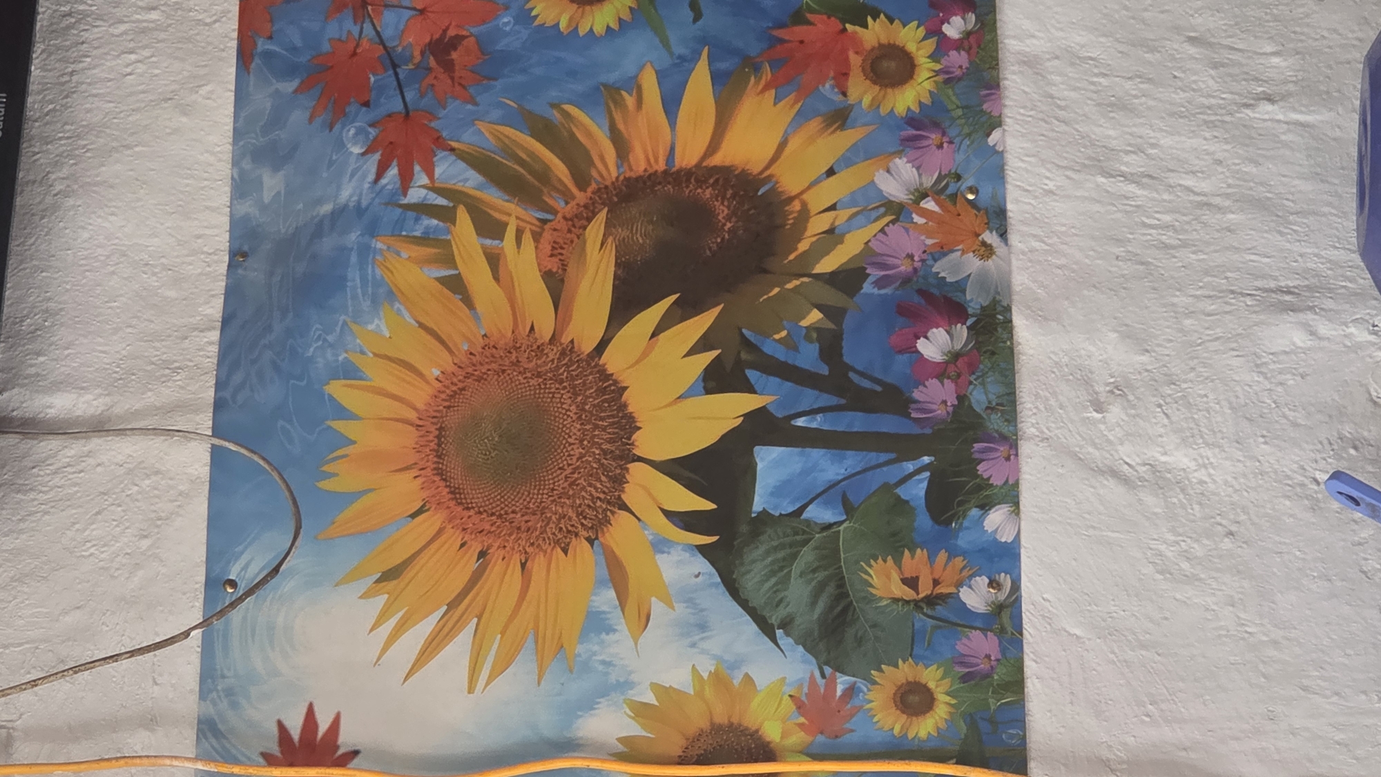 The image shows a painting of sunflowers against a blue sky with some red leaves in the upper right corner. The painting is affixed to a textured white wall. A thin, rusty wire is attached to the wall above the painting, and a thick orange cord runs vertically along the left side of the image, partially obscuring the painting. The bottom of the image shows a white wall with some blue objects at the very bottom. The scene is indoors, and the painting appears to be a decoration. There is no indication of the city of Vozsiiatske, Ukraine, in the image.