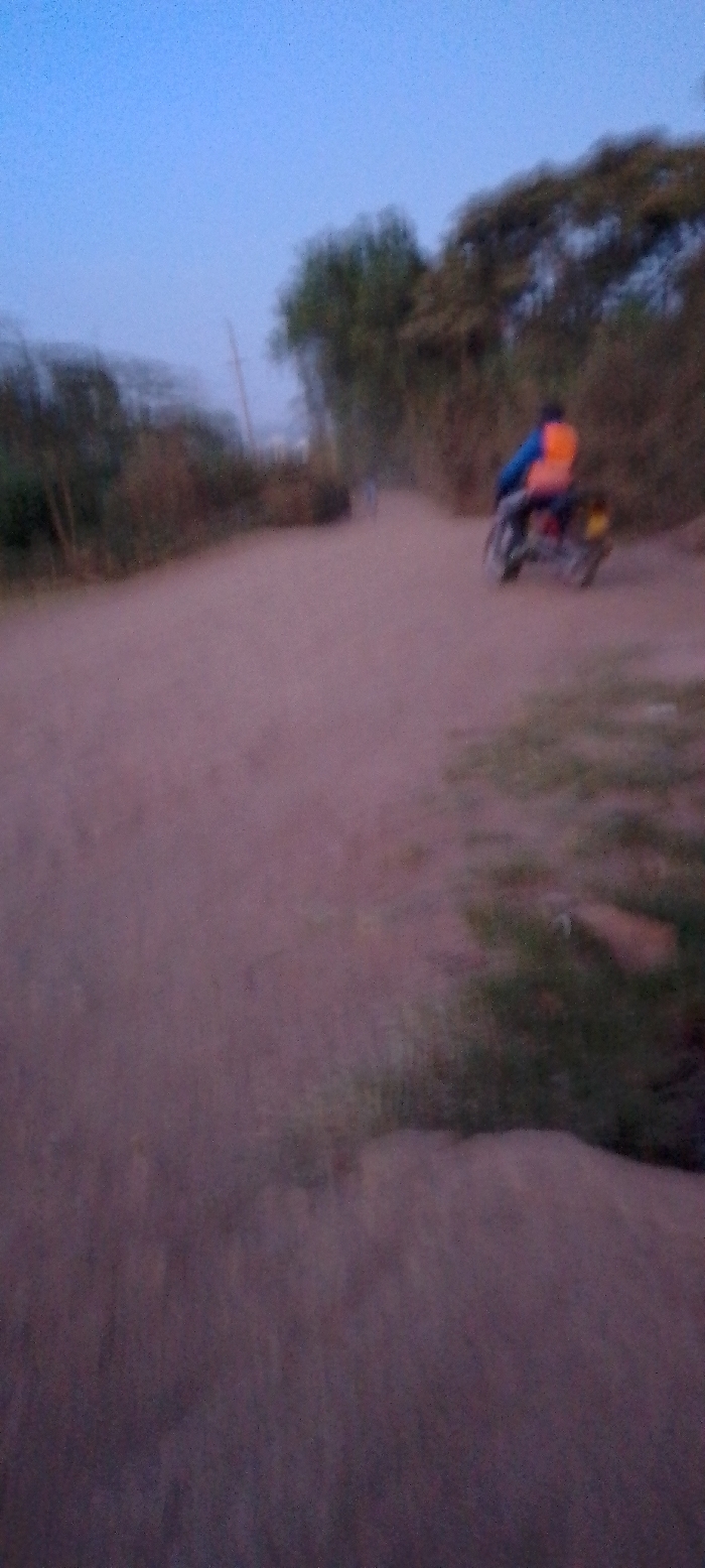 A blurred image captures a dusty road flanked by vegetation. Trees and shrubs line both sides. A person on a motorbike, wearing an orange vest, is seen riding down the road. In the background, a distant figure is walking. The sky is a muted blue, suggesting either dawn or dusk. The overall impression is one of movement and rural atmosphere.