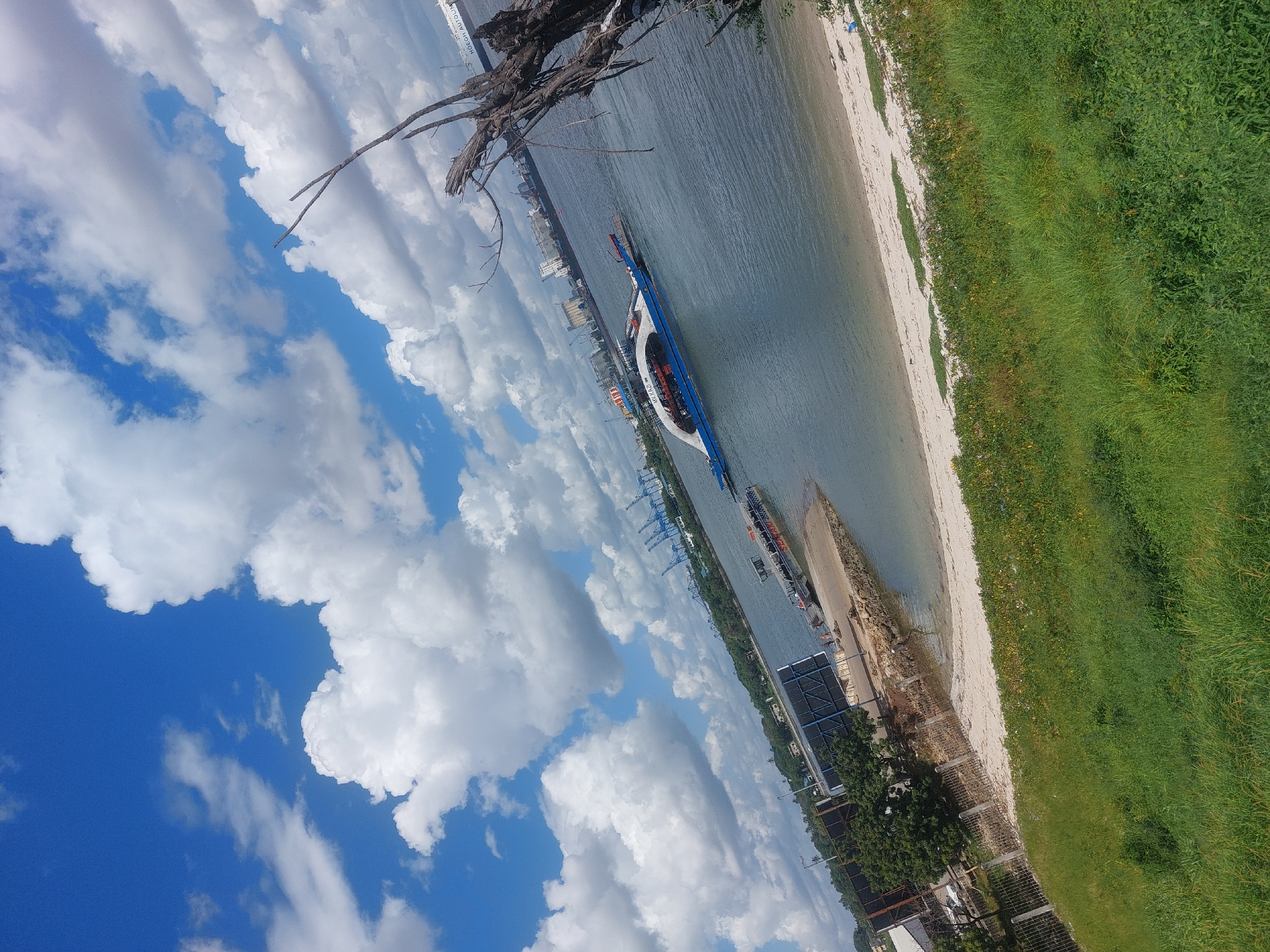 This photograph, taken in Dar es Salaam, Tanzania, presents a unique aerial perspective featuring a ferry docked near a sandy beach adjacent to a grassy area, framed by a cloudy blue sky. The foreground includes a leafless tree branch, adding depth to the composition. Visible in the background are cargo cranes and city buildings, indicating an active port area. The image orientation suggests it was taken from an elevated position.