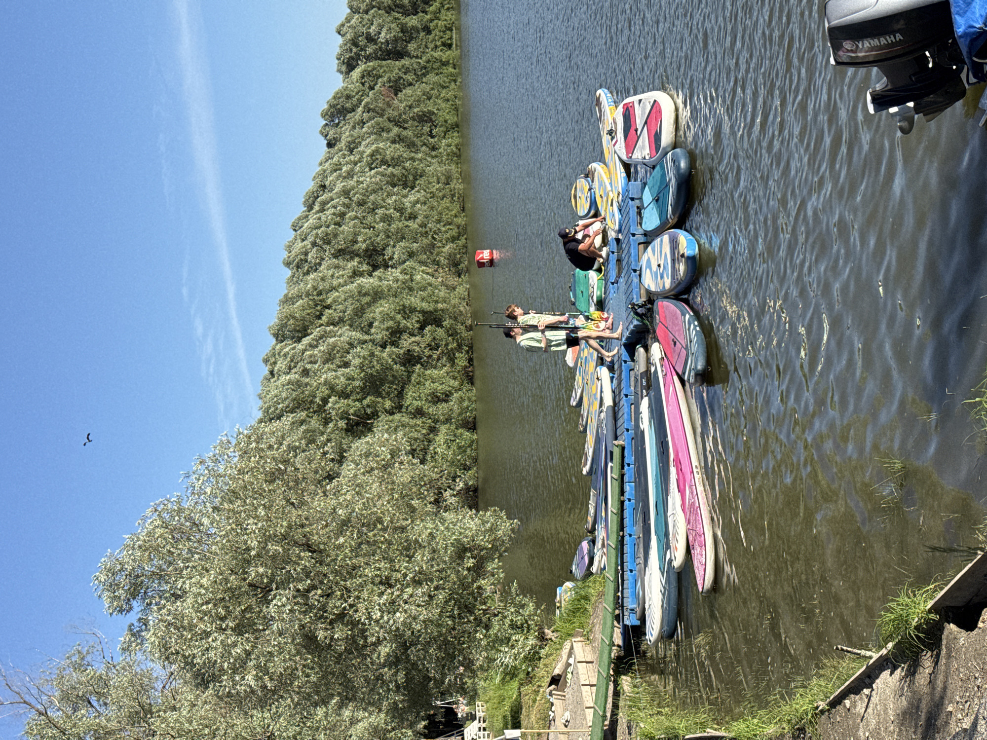 The image captures a sunny day scene at a waterfront, likely in Novosibirsk, Russia, with a dense, green forest bordering a calm body of water. The foreground features a dock or pontoon structure laden with numerous stand-up paddleboards (SUPs) of various colors and designs. Several people are present on the dock, some appearing to be preparing for or disembarking from water activities. One individual is crouched down, seemingly adjusting or inspecting a board, while another stands upright, holding a paddle. The water is slightly rippled, reflecting the bright daylight. In the background, the lush foliage of the forest creates a vibrant natural backdrop. A red buoy is visible in the water, and a bird is captured in flight against a clear blue sky. The overall atmosphere suggests a recreational outing on a pleasant day. The word "YAMAHA" is visible on a motor attached to the dock.