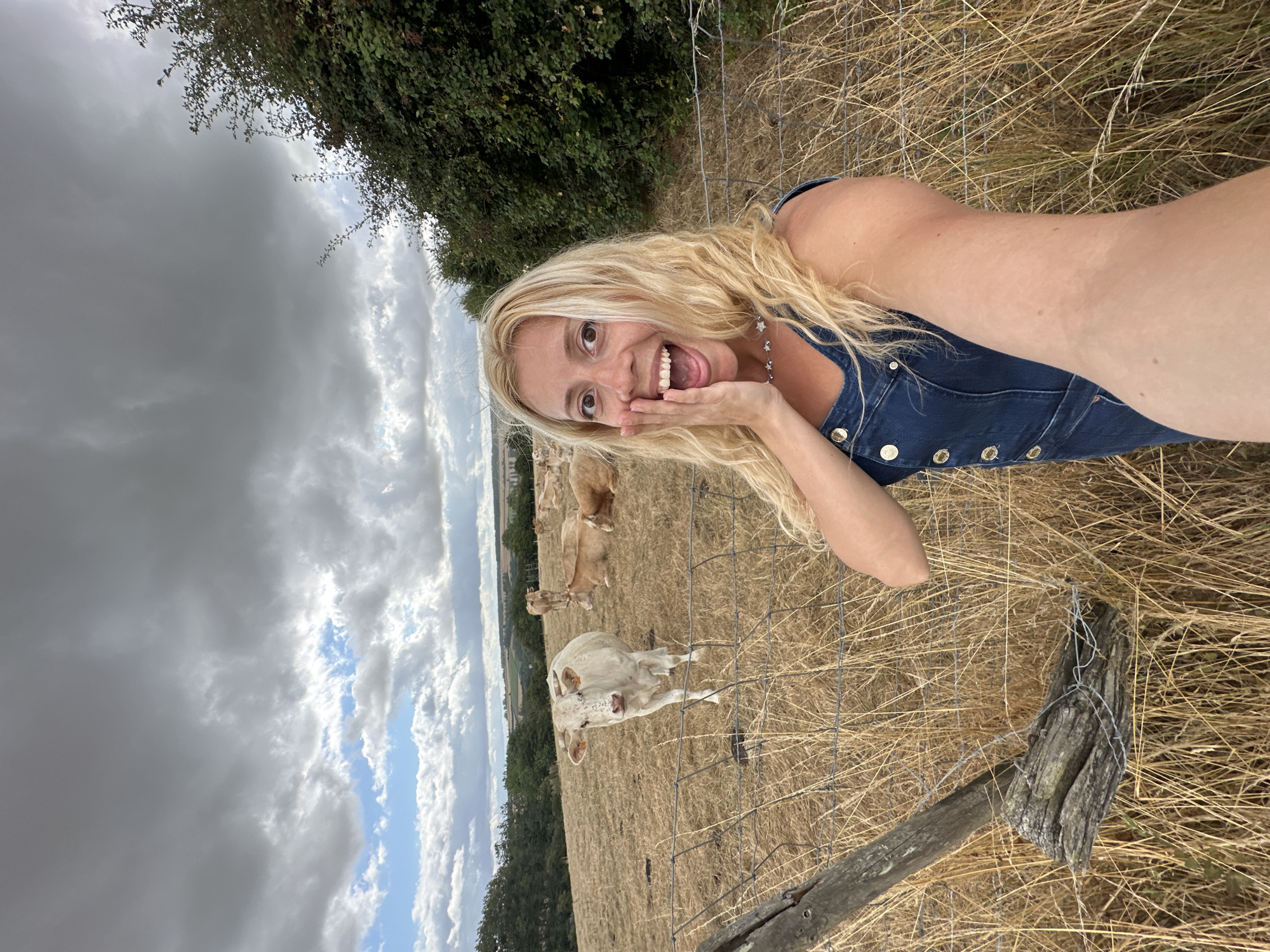 The image depicts a woman taking a selfie in a rural setting, possibly in the vicinity of Cavron-Saint-Martin, France, characterized by rolling hills and farmland. The woman, with blonde, wavy hair, is wearing a denim dress and has one hand raised to her face, her mouth open in an expression of surprise or excitement. In the background, several cows are visible in a dry, grassy field, some standing and others lying down. A wire fence runs across the foreground. The sky is cloudy with patches of blue visible, suggesting dynamic weather conditions. The overall scene conveys a sense of rural leisure and a spontaneous moment captured outdoors.