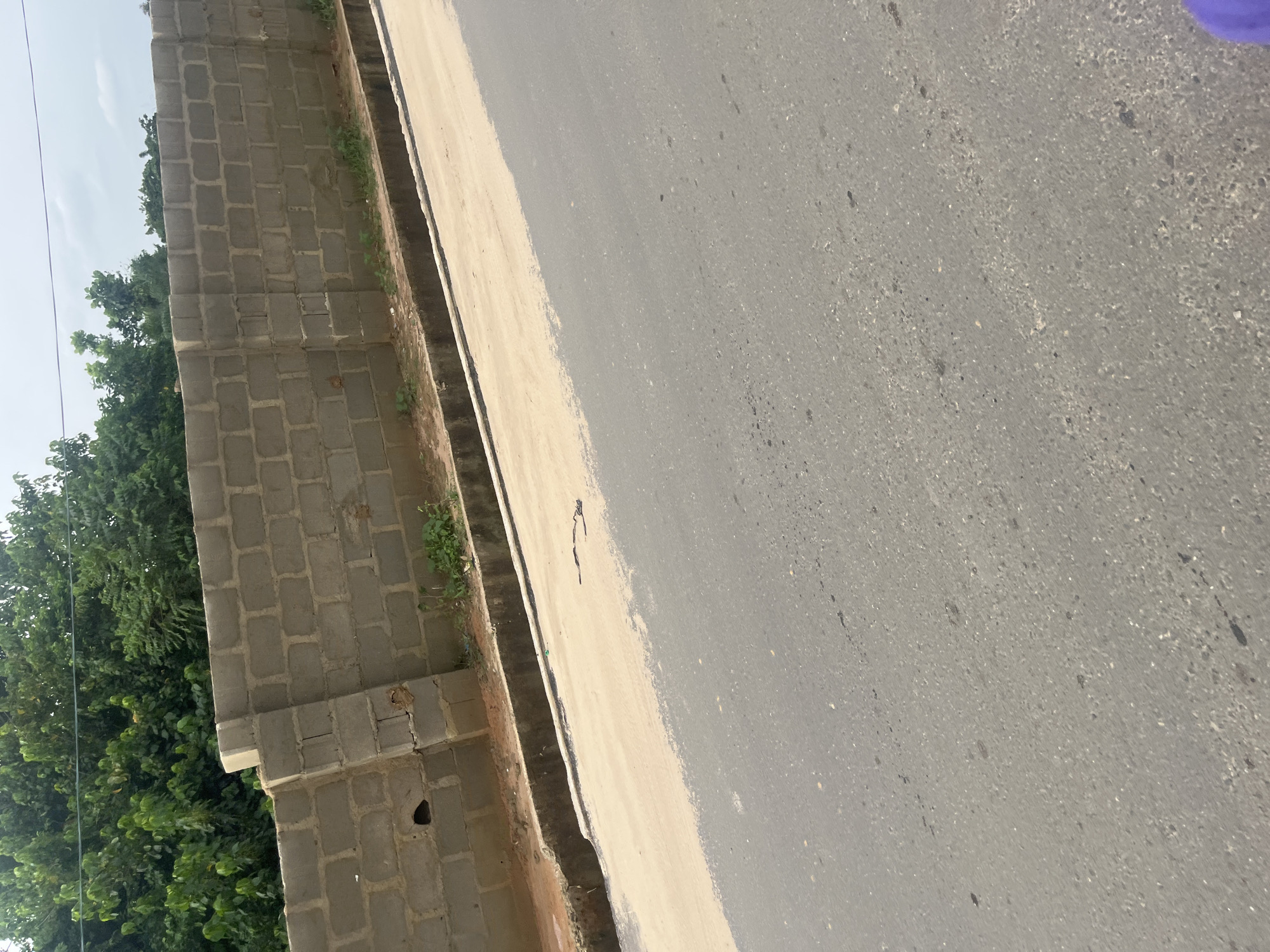 The media file shows a close-up, high-angle shot of a roadside in Ikorodu, Nigeria. The scene is divided into two main areas: a paved road and a concrete block wall. The road is asphalt, with patches of lighter colored material, possibly gravel or sand, along its edge. The concrete block wall is constructed from grey cinder blocks and appears to be a boundary to a property. Lush green trees are visible behind the wall, suggesting an outdoor, natural environment. A narrow strip of dry soil and sparse vegetation runs between the wall and the road. The lighting suggests it is daytime, with the sun casting shadows, though the weather is not clearly indicated. There is a dark, irregular stain or mark on the lighter colored portion of the road. The image is rotated, with the wall on the left and the road extending to the right and diagonally away from the viewer. No people or specific activities are depicted.