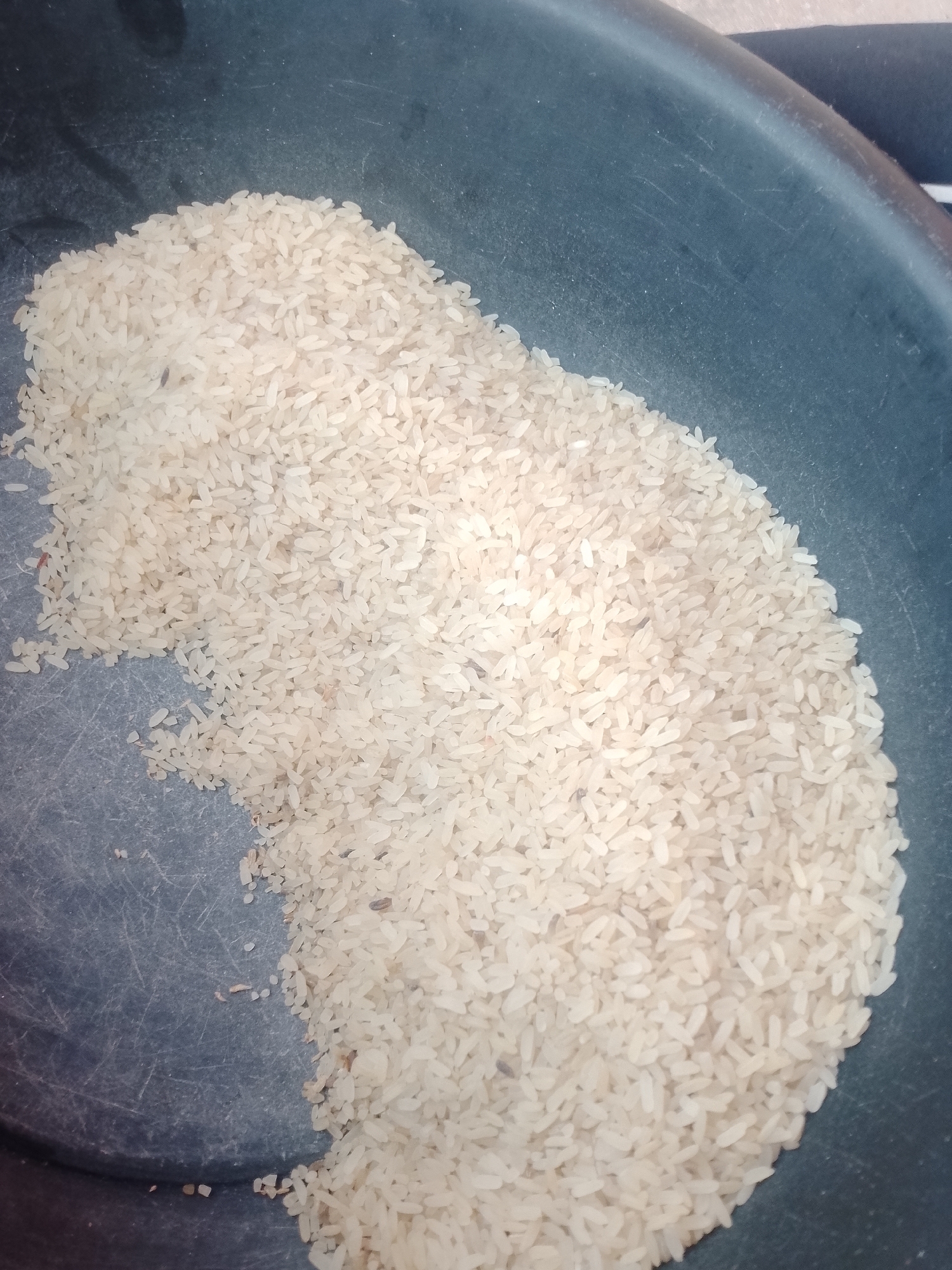 A pile of uncooked white rice is spread across a dark, textured surface that appears to be the interior of a bowl or container. The rice is predominantly light beige, with some individual grains showing slight variations in color. Scattered among the rice grains are small, dark specks, which could be husks, debris, or insects. The surface beneath the rice is a dark gray or black, marked with visible scratches and smudges, suggesting it is made of plastic or a similar material. The lighting casts soft shadows, highlighting the texture of the rice and the surface. The scene is devoid of human presence or any discernible urban context.