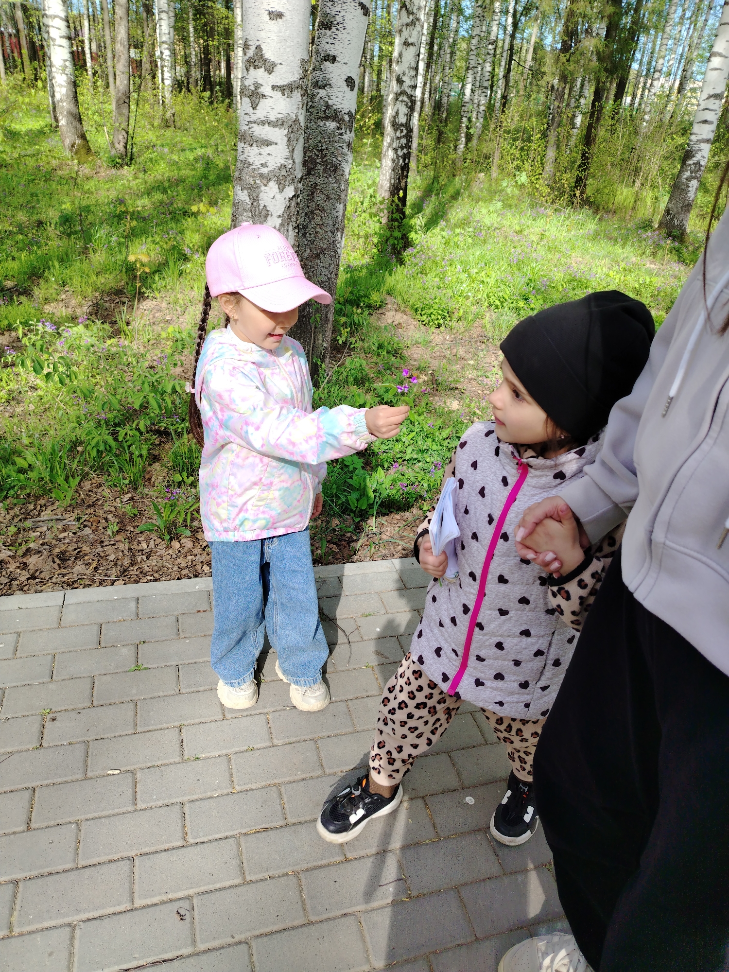 Two young girls stand on a brick walkway in a wooded area with birch trees, possibly a park. One girl, wearing a pink cap, a tie-dye jacket, and blue jeans, extends a small bouquet of purple flowers towards the other girl. The second girl, wearing a black beanie, a gray vest with black hearts, and leopard print leggings, looks at the flowers. A woman, partially visible on the right, holds the second girl's hand. The location is in the city of Noviy, Russia.