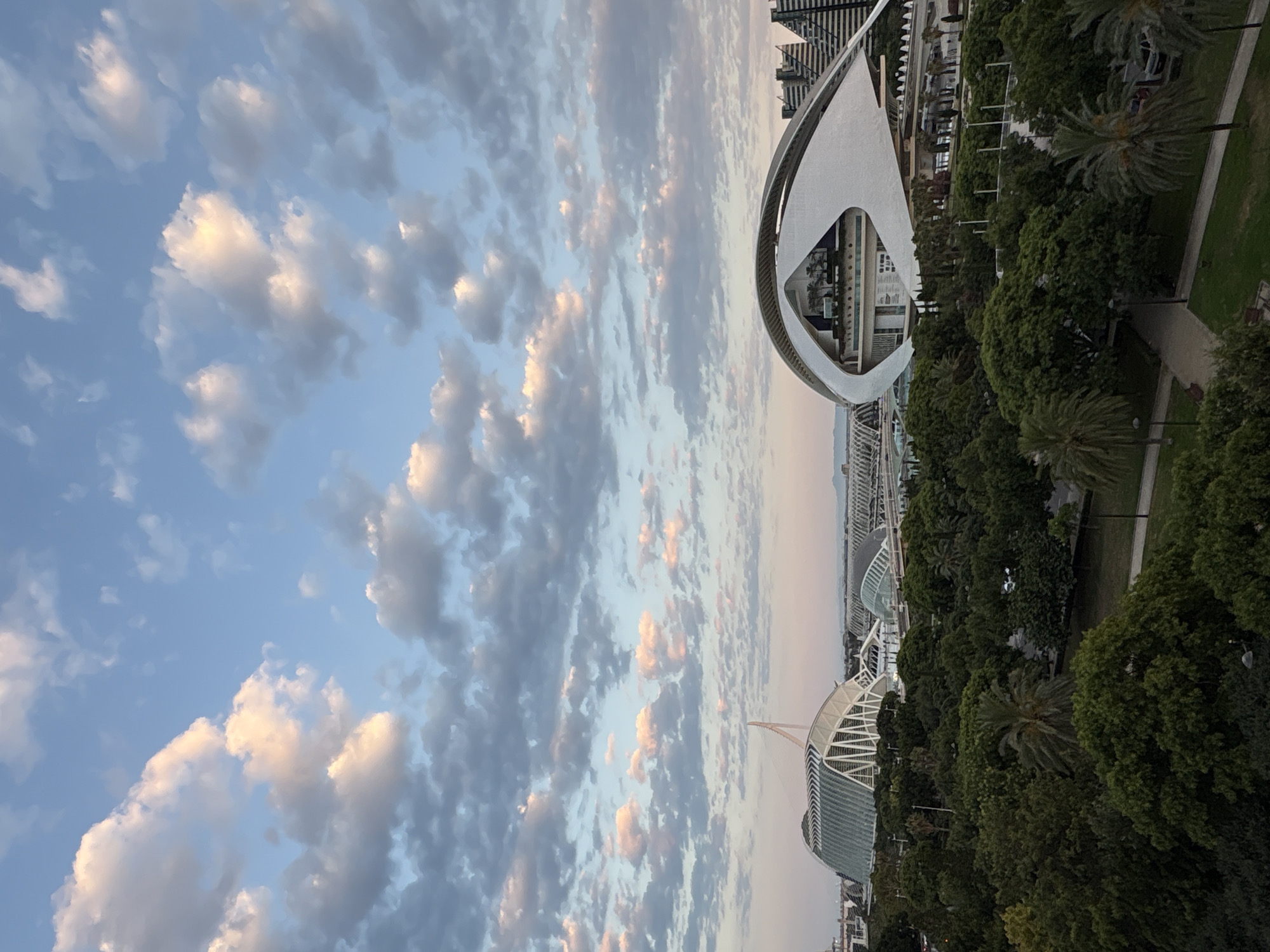 This image captures a view of the City of Arts and Sciences in Valencia, Spain, under a partly cloudy sky. The foreground is dominated by lush green trees, including palm trees, and pathways with park benches. In the mid-ground, two prominent architectural structures of the City of Arts and Sciences are visible. On the left is the Palau de les Arts Reina Sofía, characterized by its white, skeletal-like structure and a large glass dome. To its right is the Hemisfèric, a distinctive eye-shaped building with a white, curved roof. Behind these structures, more of the complex's modern architecture and distant city buildings can be seen. The sky above is a light blue with scattered clouds, some tinged with pink and orange hues from the setting or rising sun. There are no people or specific actions depicted. The environment is urban, with a focus on the iconic architecture and surrounding parkland.