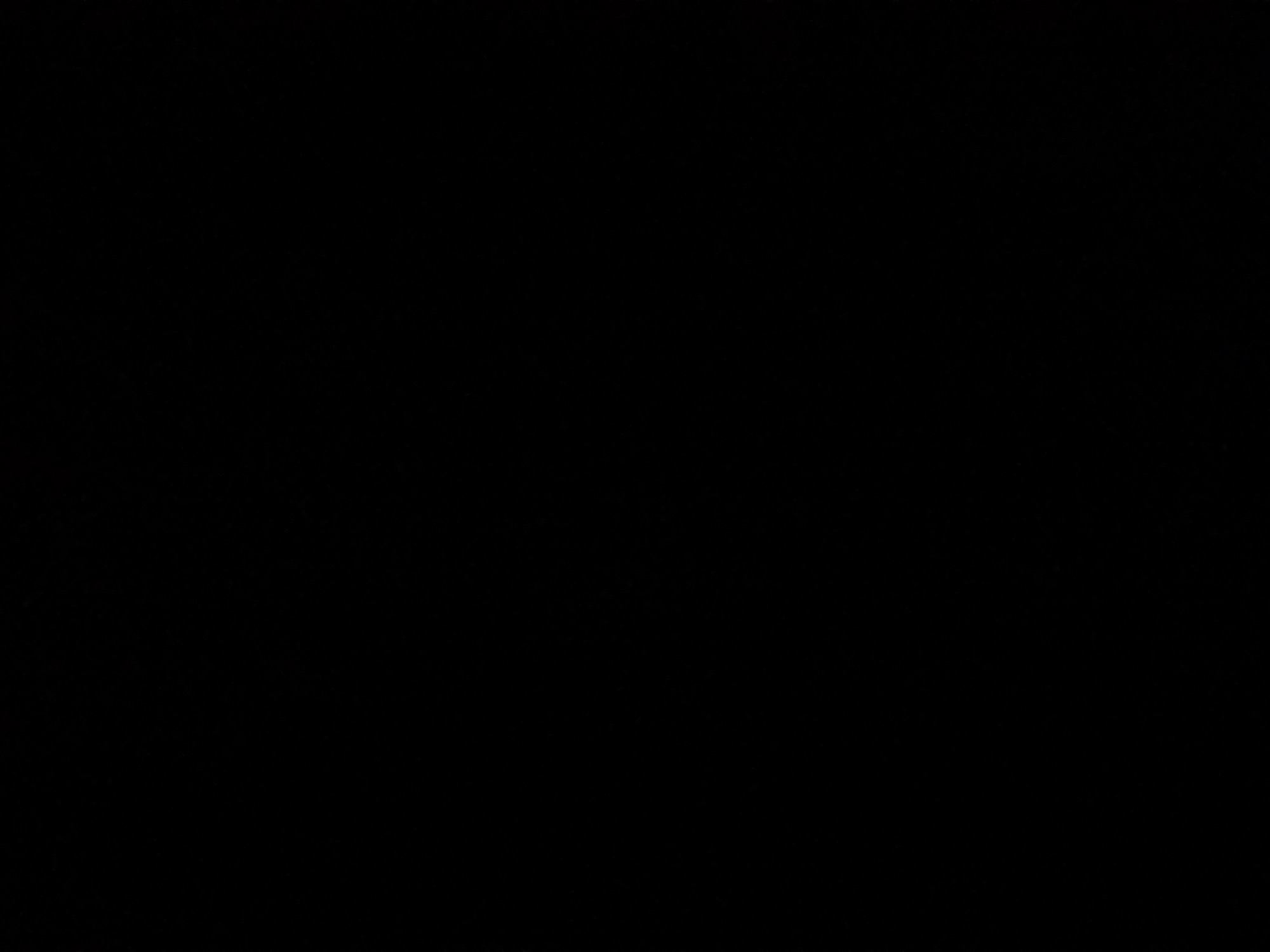This is a black image. No subjects, activity, notable details, or text are visible.