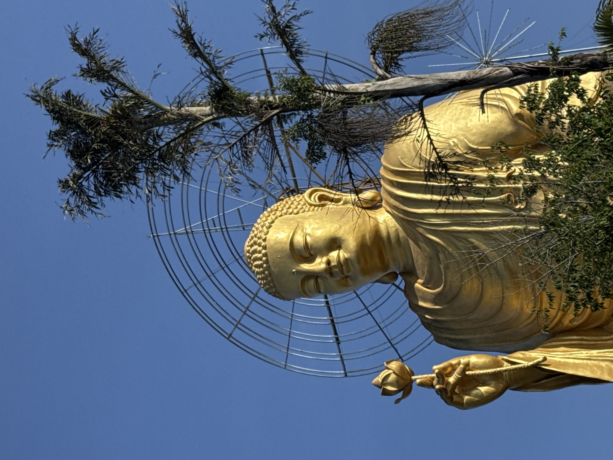 A low-angle shot showcases a golden Buddha statue holding a lotus flower, set against a clear blue sky in Lâm Viên - Đà Lạt, Vietnam. A tree branch and a circular metal structure partially obscure the statue.