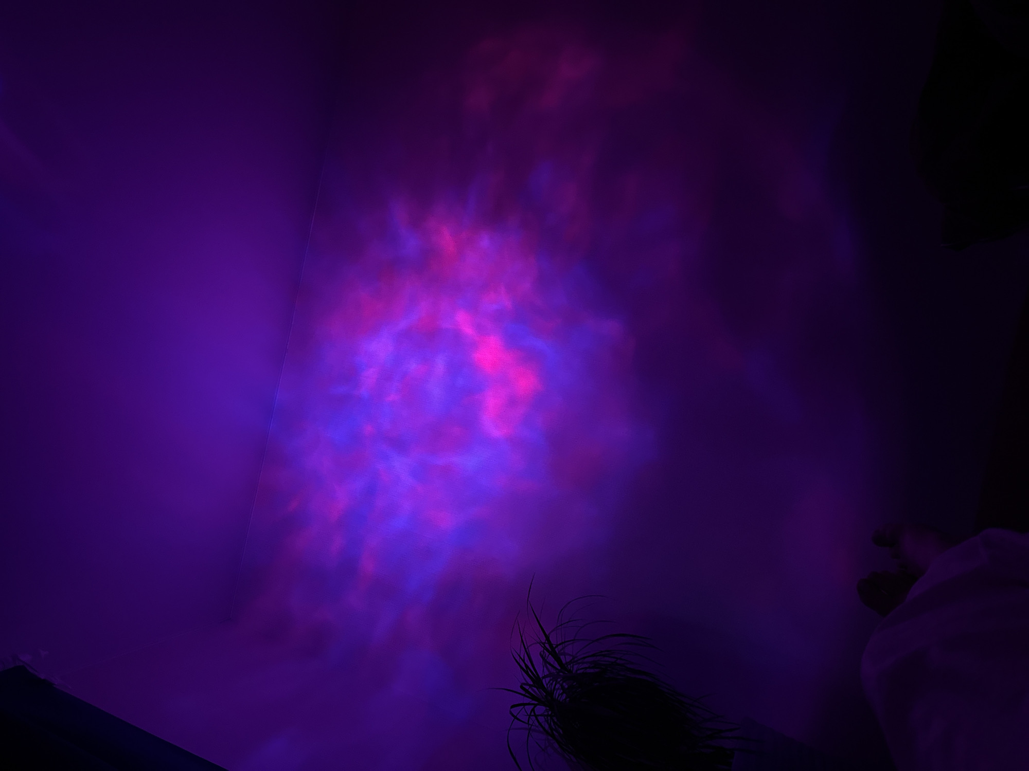 The image depicts a dimly lit room with walls illuminated by a projector displaying swirling patterns of pink and purple light, resembling a nebula or aurora borealis. A dark silhouette of a plant with long, thin leaves is visible in the lower left corner. In the lower portion of the image, a white sheet or blanket is draped over an unseen object, and further to the right, two indistinct figures, likely people, are dimly visible in the shadows. The scene appears to be indoors, with the projector light casting an atmospheric glow. There is no visible indication of the city of Perm, Russia, in this image.