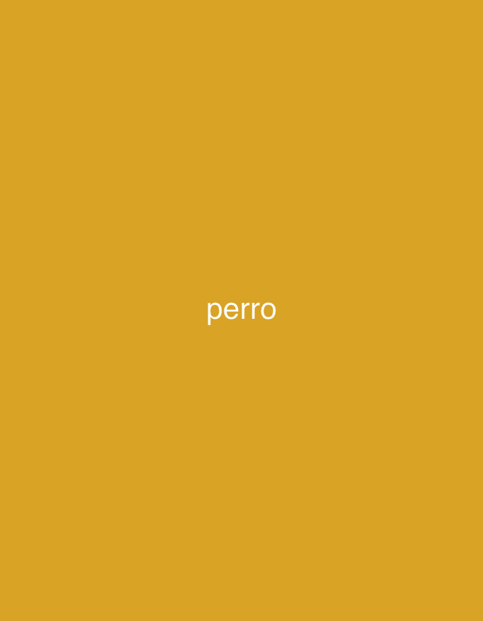 The image displays the Spanish word "perro" (dog) in white, sans-serif, lowercase letters, precisely centered on a solid mustard yellow background. This visual content is presented within the context of the city of Juan Griego, Venezuela.