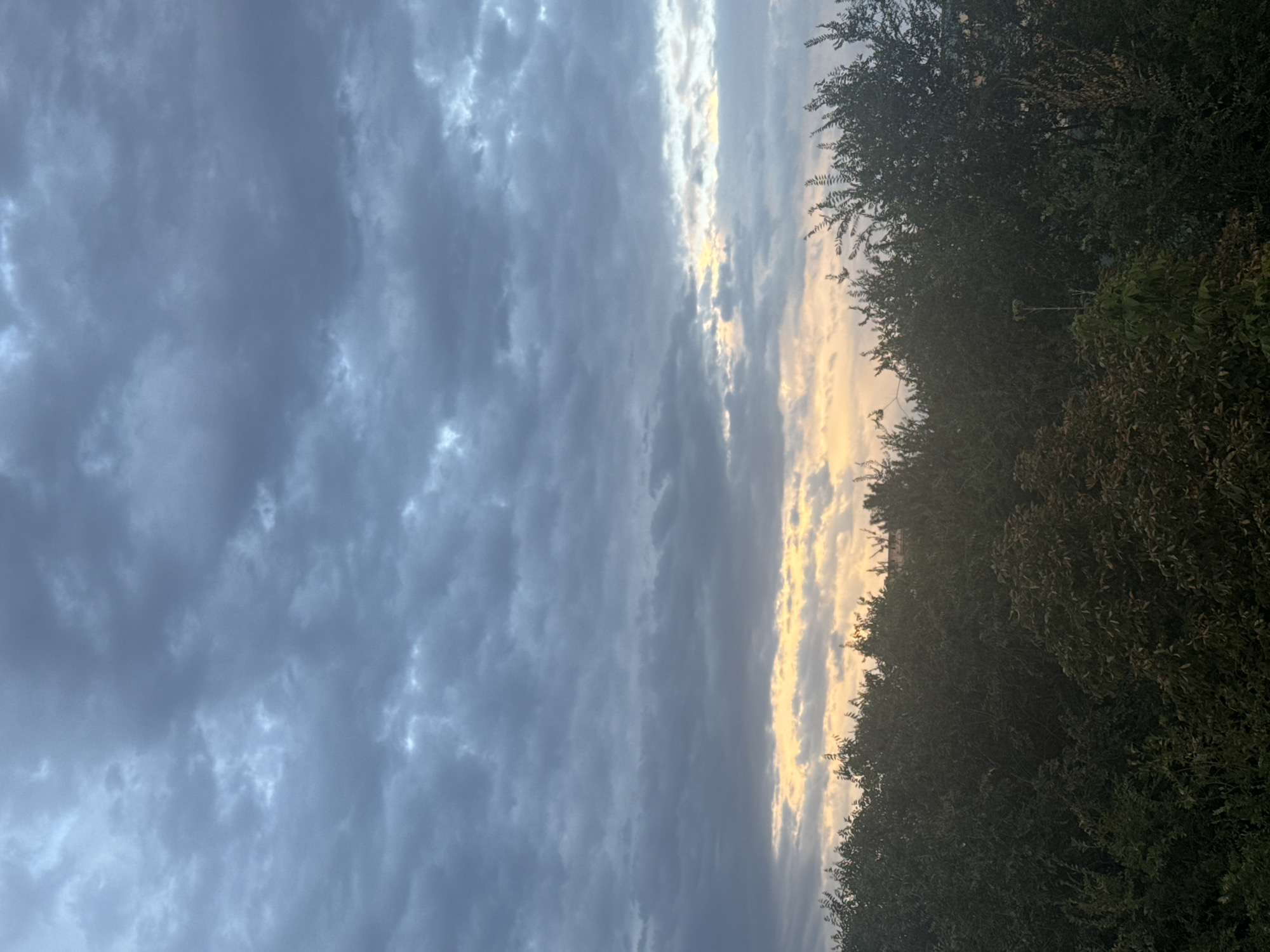 The image depicts a cloudy sky over a dense line of trees in Bishkek City, Kyrgyzstan. The clouds are a mix of gray and blue, with some areas lighter and tinged with yellow, suggesting the presence of sunlight attempting to break through or perhaps the afterglow of sunset or sunrise. The trees form a dark, leafy silhouette against the horizon, with their branches and foliage filling the lower third of the frame. The scene appears to be an outdoor, natural environment within an urban setting, possibly a park or a residential area with significant greenery. No people or specific actions are visible.