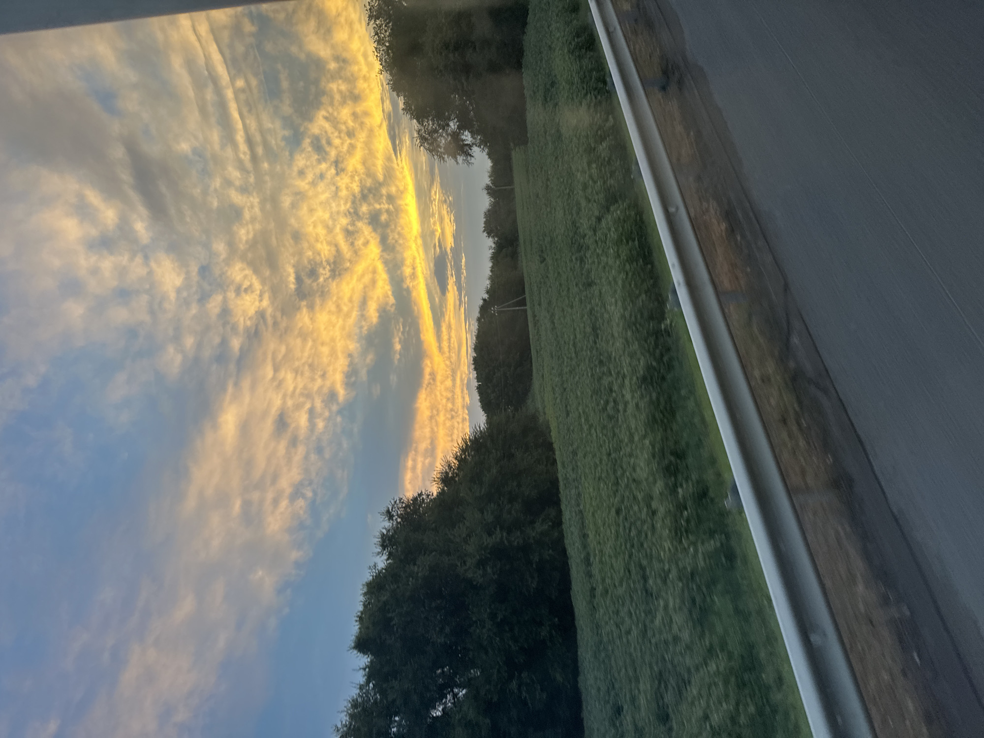 The image captures a sunset scene with a dramatic sky filled with golden and orange clouds against a blue backdrop. In the foreground, a green field stretches towards a line of dark trees. A white metal guardrail is visible along the bottom right of the image, separating the field from a dark grey road. The scene appears to be a rural landscape, possibly on the outskirts of Zavetnoye, Russia. There are no people or animals visible in the image. The overall mood is serene and picturesque, characteristic of a rural sunset.