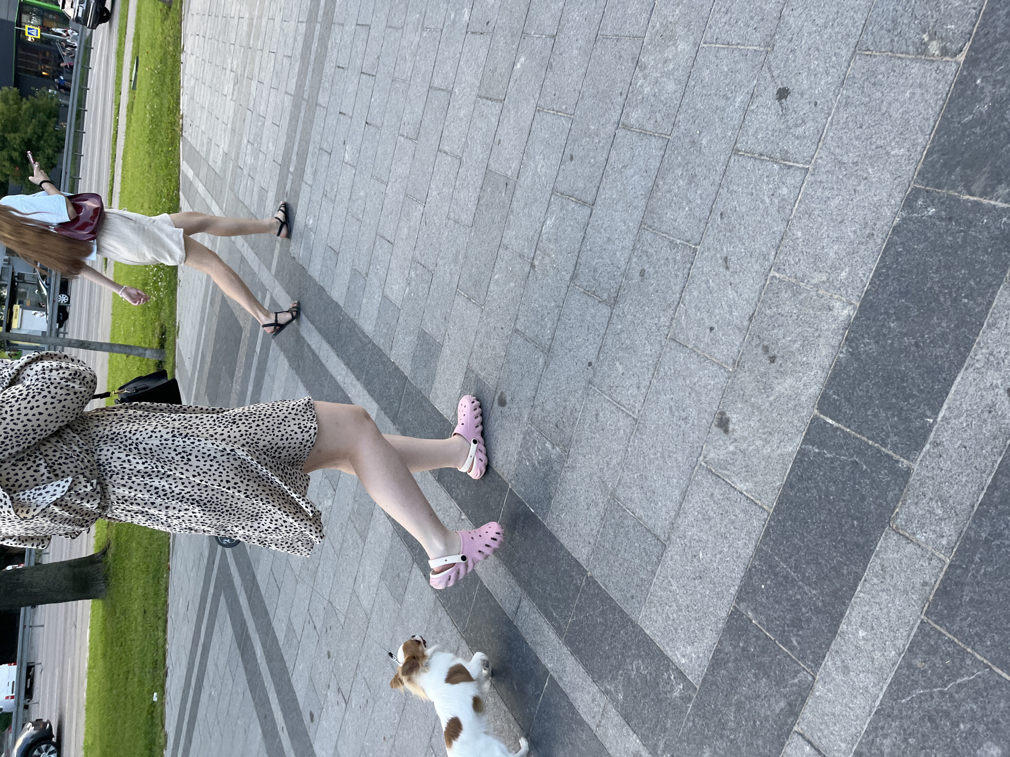 The image shows a partially cropped view of two young women walking on a stone-paved sidewalk. The woman in the foreground is wearing a leopard-print dress and pink clogs. She is walking her small dog, a Jack Russell Terrier, which is on a leash. The woman in the background is wearing a light-colored skirt and black sandals. She is carrying a burgundy-colored bag. The scene appears to be outdoors, possibly a city street or park, with a grassy area and some trees visible on the left side of the image. Cars are also visible in the background, suggesting a public area with traffic. The paving stones are arranged in a pattern, with alternating light and dark gray colors. The lighting suggests it is daytime, possibly late afternoon or early evening, given the shadows. There is no visible text in the image. The overall mood seems casual and relaxed, indicating a leisurely stroll.