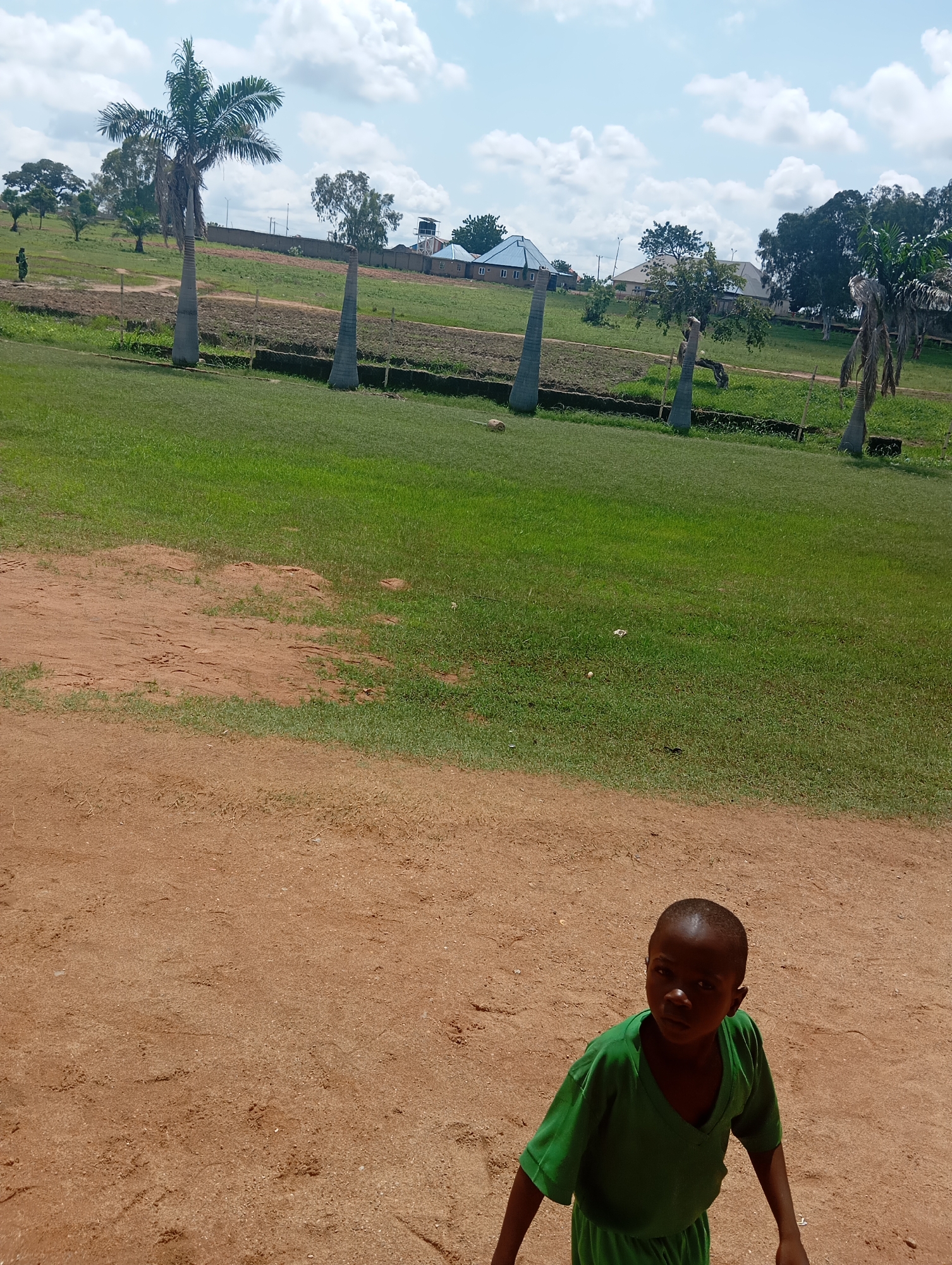 The image depicts an outdoor scene with a young boy in the foreground. The boy, who appears to be of African descent, is wearing a green v-neck t-shirt and dark-colored shorts. He is standing on a dirt ground that transitions into a grassy area. Behind him, there is a wide expanse of green grass, with several palm trees and other vegetation scattered throughout. In the background, there are some buildings, including one with a blue roof and another with a brown roof. A water tower is also visible in the distance. The sky is blue with scattered white clouds. The overall setting suggests a rural or semi-rural environment. The presence of palm trees and the architectural style of the buildings could suggest a location in Nigeria, possibly in or around Jalingo.