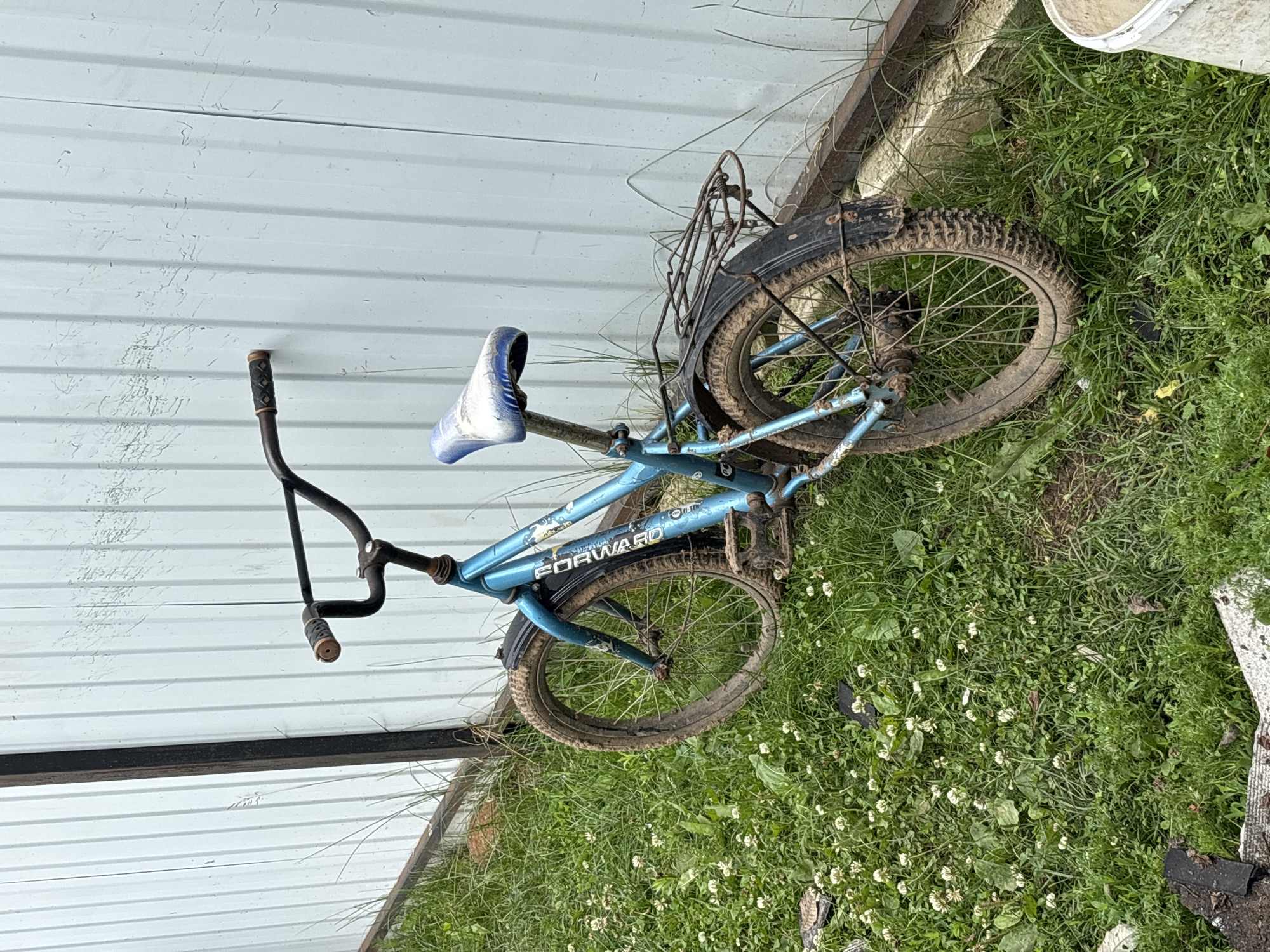 An old, blue bicycle leans against a pale, corrugated metal fence in the city of Ilpanur, Russia. The bicycle is covered in dirt and mud, suggesting it has been left outdoors for some time. Its tires are thick and treaded, and a rusty wire rack is attached to the back. The seat is blue and appears to be padded. The bicycle is positioned on a patch of green grass dotted with small white flowers, possibly clover. The area around the bicycle is overgrown with weeds and some debris is visible on the ground. The fence is tall and separates the grassy area from what appears to be an adjacent property. The overall scene depicts an abandoned or disused bicycle in a slightly neglected outdoor setting.