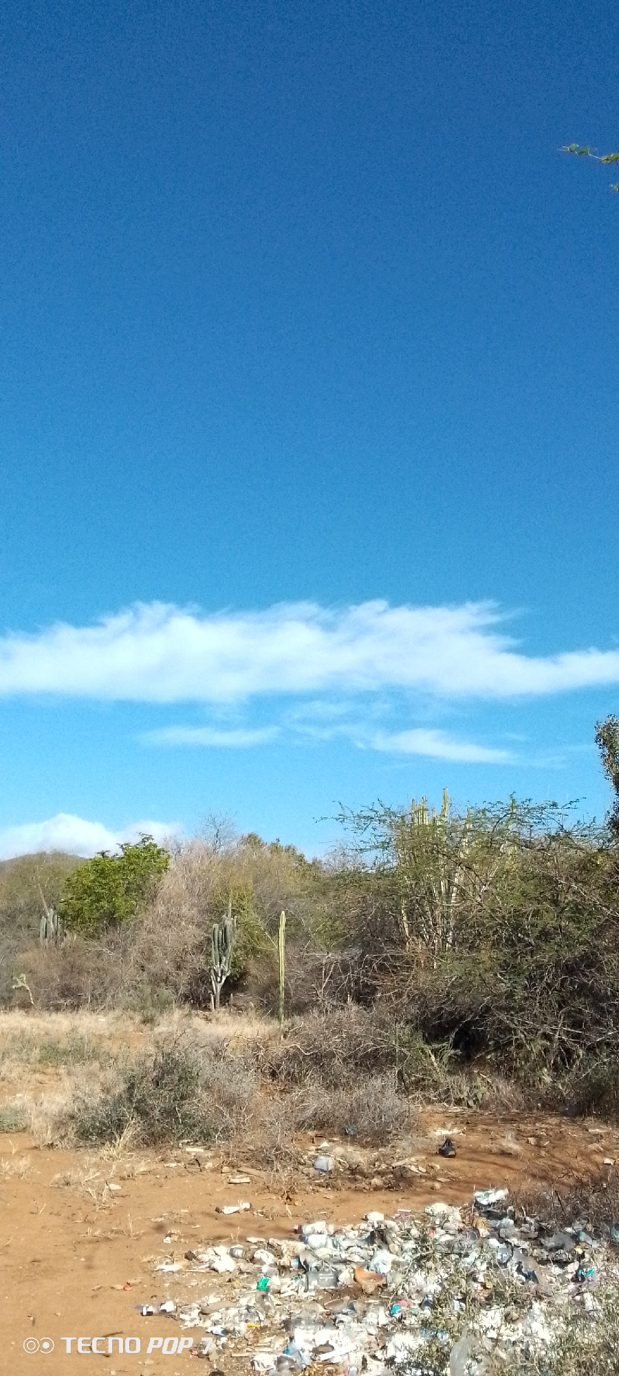 The image shows a landscape in Altagracia, Venezuela, under a blue sky with a line of white clouds. In the midground, there is sparse vegetation, including cacti and dry brush. The foreground is dominated by litter and debris scattered on the ground. No people are visible.