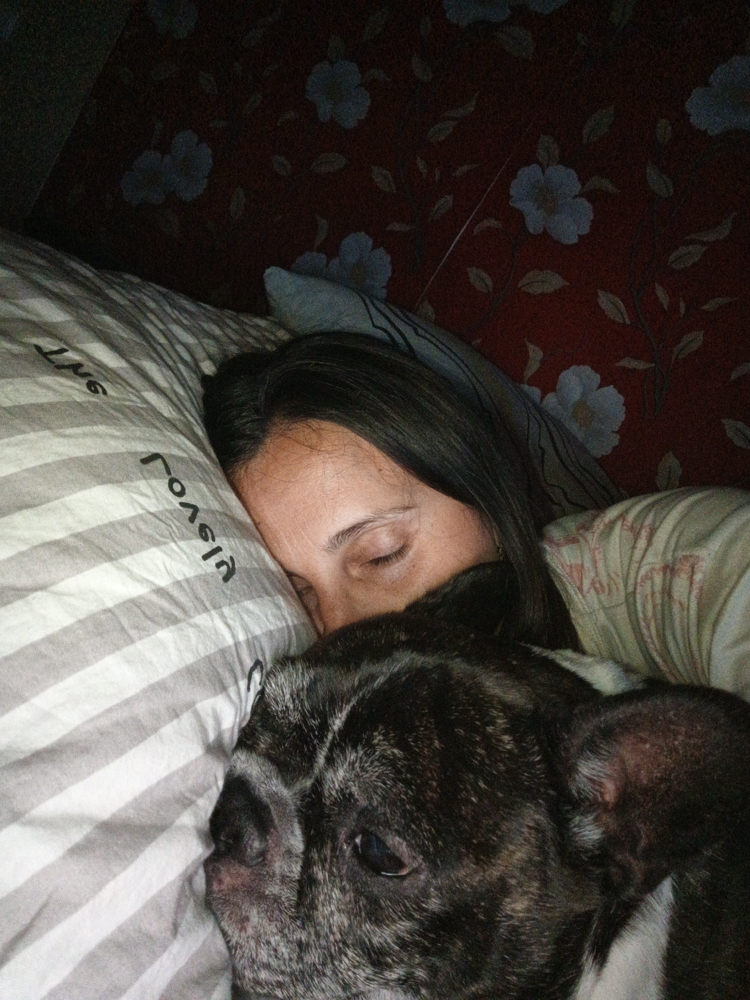 The image shows a close-up of a person and a dog sleeping in bed. The person's head is on a pillow with gray and white stripes. The person's face is partially visible, with their eyes closed. A dog, likely a French Bulldog, is also sleeping and is positioned in front of the person, with its head resting on the same pillow. The background appears to be a wall with a floral pattern in shades of red and light blue. The lighting is dim, suggesting it might be nighttime or the room is dark. The image does not contain any information that would suggest its location in the city of Goryachiy Klyuch, Russia.