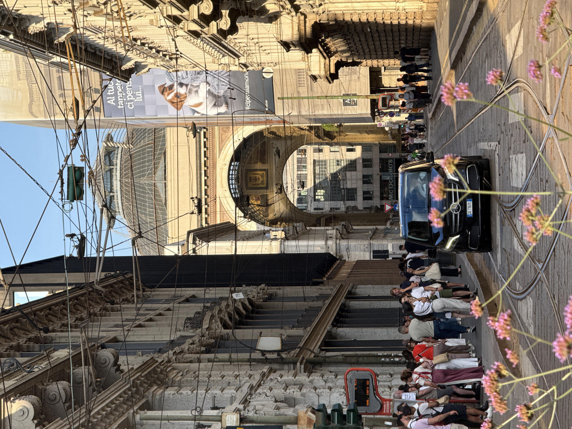 This image depicts a bustling street scene in Milan, Italy, specifically looking towards the Galleria Vittorio Emanuele II, likely from Via Tommaso Grossi or a connecting street near Piazza Cordusio.
In the immediate foreground, a cluster of blurred pink-purple wildflowers occupies the lower frame. Behind them, tram tracks with wooden sleepers converge on a cobbled or paved street. A black Mercedes-Benz V-Class minivan, with license plate CK-736TL, is stationary on these tracks, facing away from the viewer.
On the left side of the street, a dense group of approximately twenty to thirty pedestrians, casually dressed in summer attire, stands and walks along the sidewalk. A red digital display sign, partially visible with text "5 MIN", "ONE. INFO SU", and "Fermata N", is mounted on a pole adjacent to a green traffic light. The buildings on the left are multi-story and feature classical architectural details, including elaborate cornices, columns, and iron balconies.
On the right side of the street, a multi-story building with ornate classical architecture features an advertisement banner depicting a Jack Russell terrier dog and Italian text that begins "Al tuo tappeto ci pens lui..." and includes the hashtag "#cipensiamonoi". A network of overhead electrical wires for trams crisscrosses the clear blue sky, partially obscuring the buildings and banner.
In the mid-ground, a grand, ornate archway frames the view further down the street. Inside the archway, a decorative mosaic with gold accents is visible. Beyond this archway, the distinctive large glass and metal dome of the Galleria Vittorio Emanuele II dominates the background skyline, reflecting the sunlight. Further through the archway, additional urban buildings are visible, including a red McDonald's sign on the left side of the distant street. The scene is illuminated by bright sunlight, suggesting late afternoon or early morning, casting defined shadows.