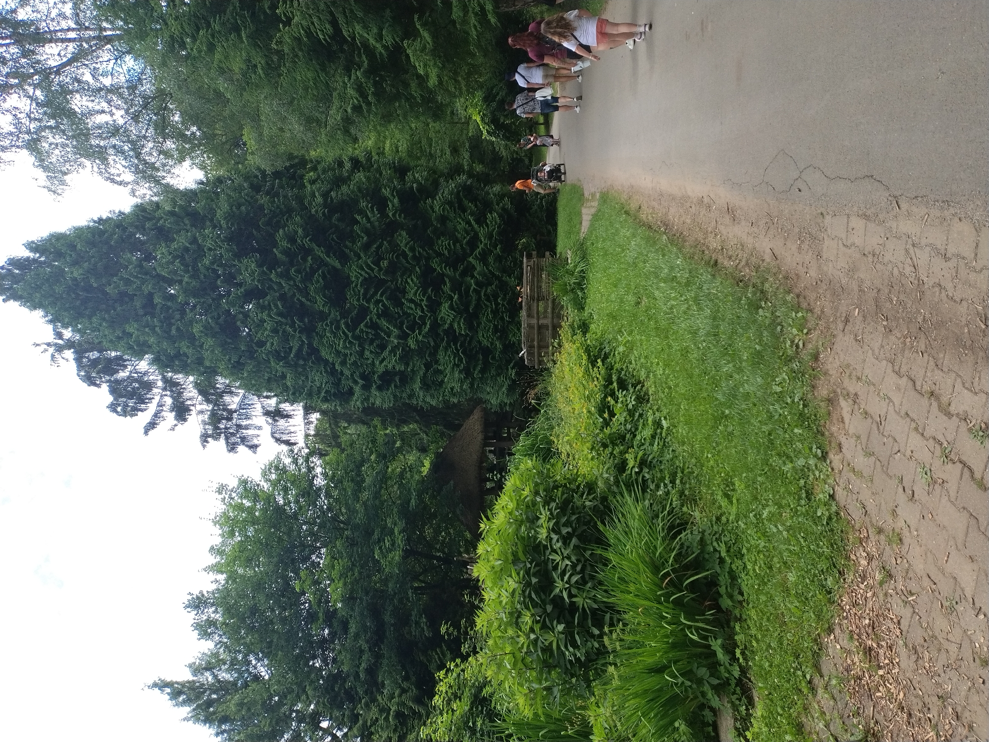 The image depicts a park scene, possibly in Jihlava, Czechia, with lush green foliage and trees dominating the landscape. A paved pathway runs through the park, bordered by grass and denser vegetation on the left. Several people are walking along the path. On the right side of the path, a group of individuals, including adults and children, are seen strolling. One child is wearing a pink outfit and white shoes. In the background, to the left, a thatched-roof structure is partially visible amongst the trees. The overall atmosphere suggests a leisurely outing in a natural setting.