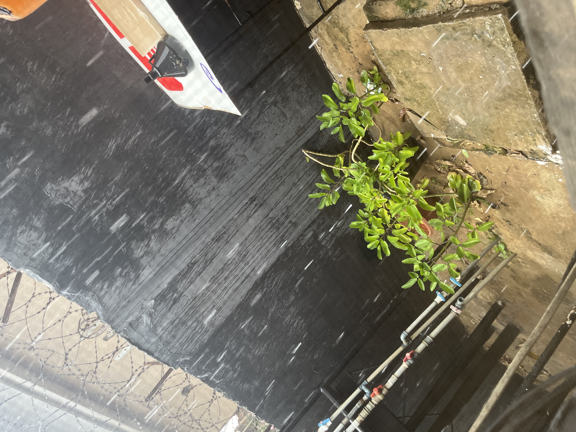 In Abuja, Nigeria, during a downpour, a lush green plant grows next to a concrete slab. Overhead, barbed wire fencing is visible against a dark, weathered metal surface, likely a roof or wall. Several pipes with red and blue valves run along the bottom left of the frame. A portion of an object, possibly a flat board with a black device attached, rests on the upper right portion of the metal surface. Raindrops are clearly visible streaking through the air.