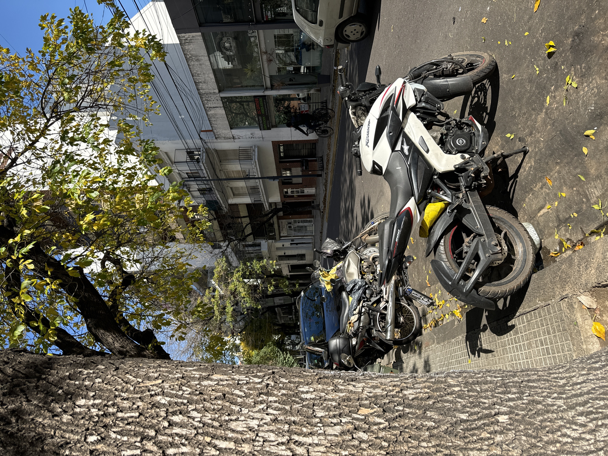 The image depicts a street scene in Buenos Aires, Argentina. A large tree trunk dominates the foreground, obscuring some of the background details. Parked along the street are several motorcycles, one white and black, and another black. Buildings line the street, with a mix of residential and commercial properties visible. A person on a bicycle is visible further down the street, and a parked car is partially visible near the motorcycles. The street surface is asphalt, with fallen leaves scattered around. The lighting suggests it is daytime.