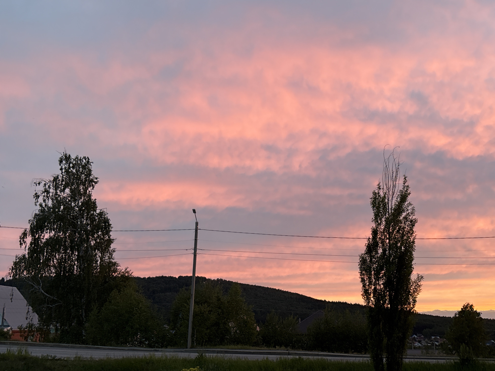 The image depicts a twilight scene, likely at sunset or sunrise, with a sky dominated by pink and gray clouds. The horizon shows a transition to a more orange hue. Silhouetted against this sky are trees of varying sizes, including one tall, thin tree on the right and a broader tree on the left. Power lines and a utility pole are visible, cutting across the sky. In the mid-ground, there's a line of green vegetation with a dark, low hill or mountain range in the background. To the left, part of a building's roof is visible. The location is potentially a city outskirts or a rural area with infrastructure.