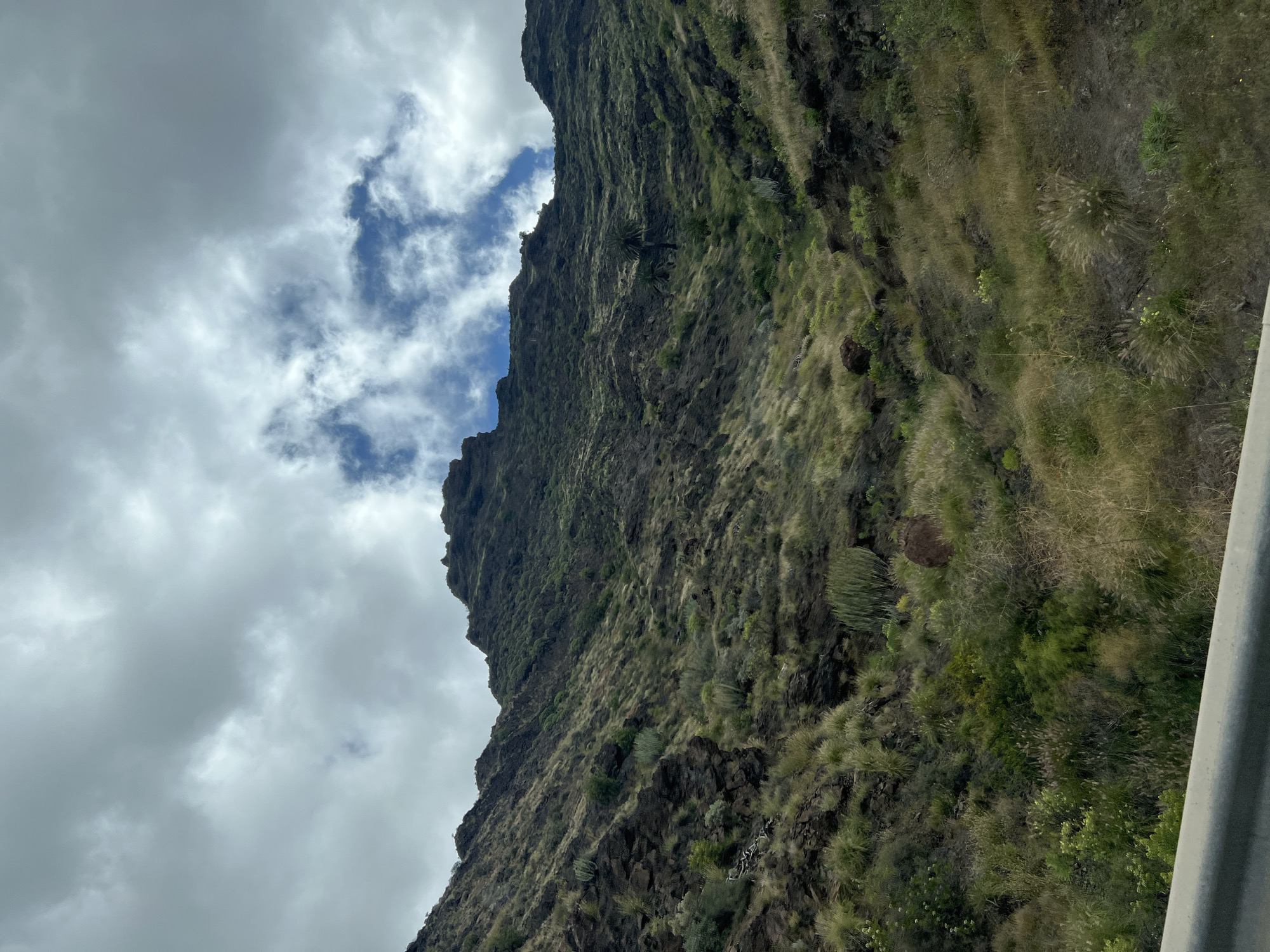 The image captures a steep, rocky hillside in Mogán, Spain. The slope is covered with sparse vegetation, primarily grasses and low-lying plants, clinging to the dark, volcanic rock. The sky is partly cloudy with patches of blue visible between the white and grey cloud formations. A glimpse of a grey metal guardrail is seen in the lower right corner, suggesting the image was taken from a roadside vantage point.