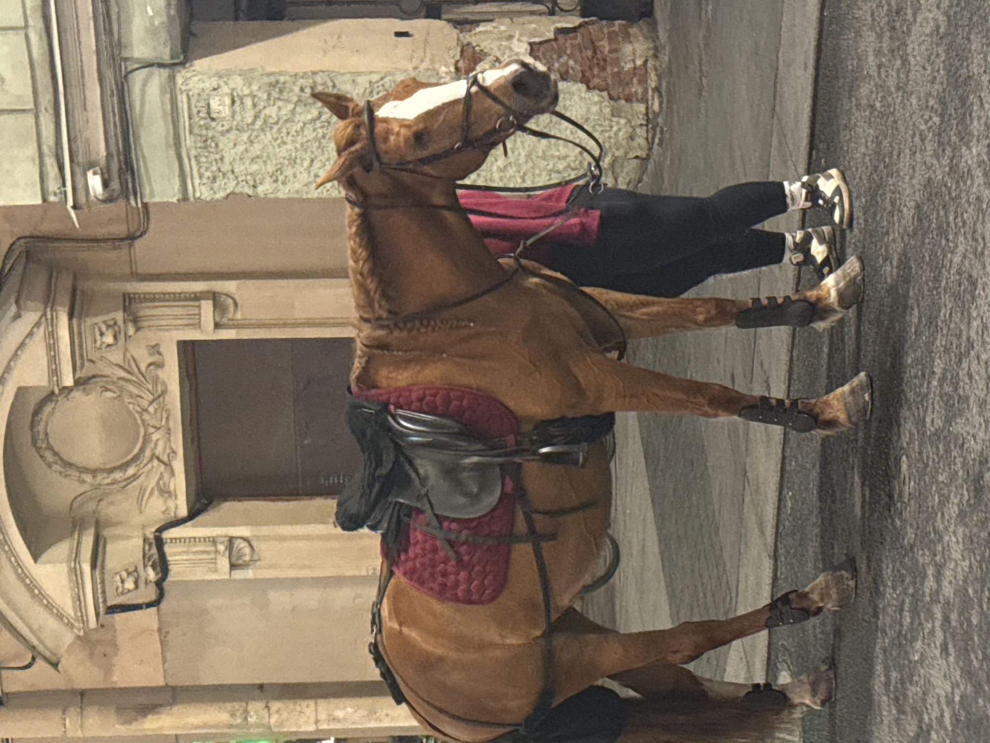 A medium shot shows a brown horse standing on a paved street in front of a building in Saint Petersburg, Russia. The horse is equipped with a black saddle and a red quilted saddle pad. It wears a bridle and has braided mane. The horse's legs are fitted with black protective boots. A person in black leggings and white socks is standing next to the horse, holding its reins. The building behind the horse has an ornate facade with classical architectural elements. The street appears to be cobblestone, and there is some damage visible on the building's brickwork. The lighting suggests it is daytime, but the scene has a somewhat dim atmosphere, possibly due to overcast weather or the time of day.