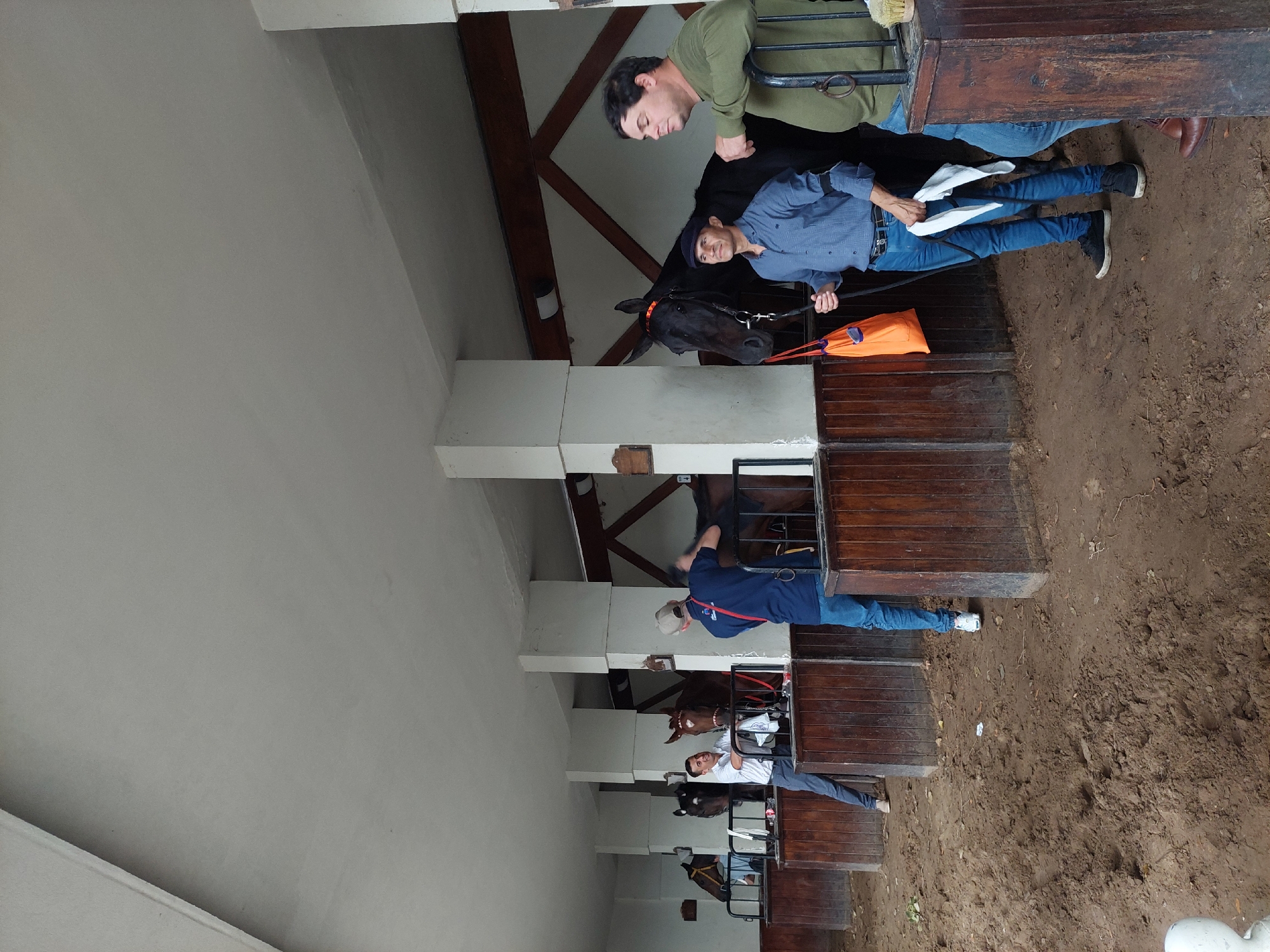 The image shows a series of horse stalls, likely in a stable or equestrian facility. The stalls are constructed with wooden walls and metal bars, with sand or dirt flooring visible in front of them. Several horses are housed in the stalls, with varying coat colors, including black and brown.
People are visible in the scene, attending to the horses. One person is wearing a blue shirt and jeans, holding the reins of a black horse. Another individual is dressed in a green shirt, leaning against a stall.
The location may be in the city of Buenos Aires, Argentina, given the cultural prevalence of equestrian activities in the region. The environment is typical of a stable or equestrian facility, with the focus on housing and caring for horses.