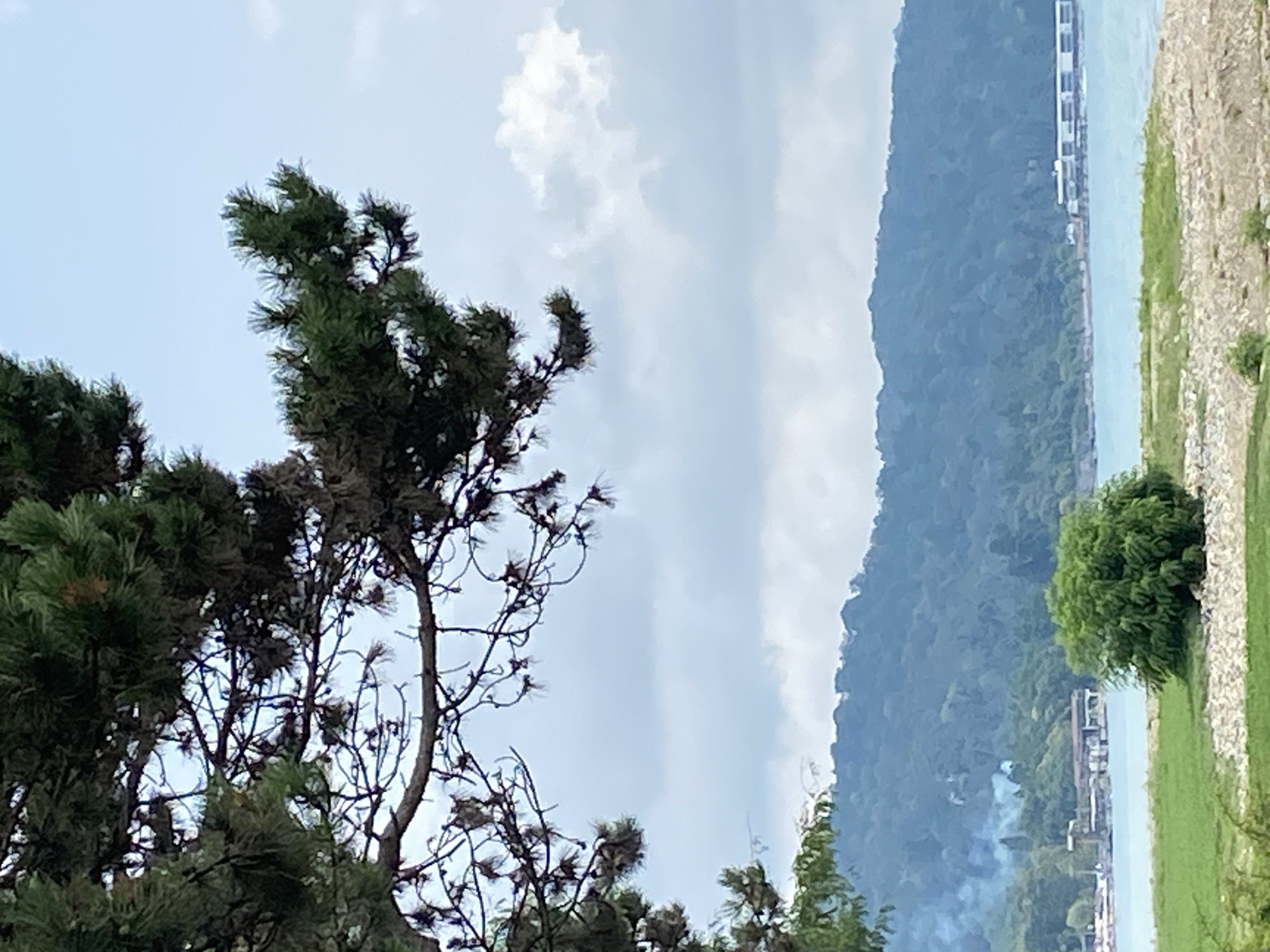 The image captures a tranquil scene in Sokhumi, Abkhazia, characterized by the interplay of natural elements and distant human structures. In the foreground, the gnarled branches of a pine tree frame the view, its dark green needles contrasting with the pale blue sky. Below the tree, a strip of green grass and a patch of rocky ground lead to the calm, turquoise water of a bay. Across the bay, a verdant, tree-covered mountain range forms the backdrop, its slopes shrouded in a soft, hazy blue. On the far shore, nestled at the foot of the mountains, a cluster of buildings and structures are visible, with smoke rising from a point in the distance. Further along the coastline, a long, white building with multiple windows is situated on the water's edge. The overall atmosphere is one of peace and natural beauty, with a hint of human presence in the distance.