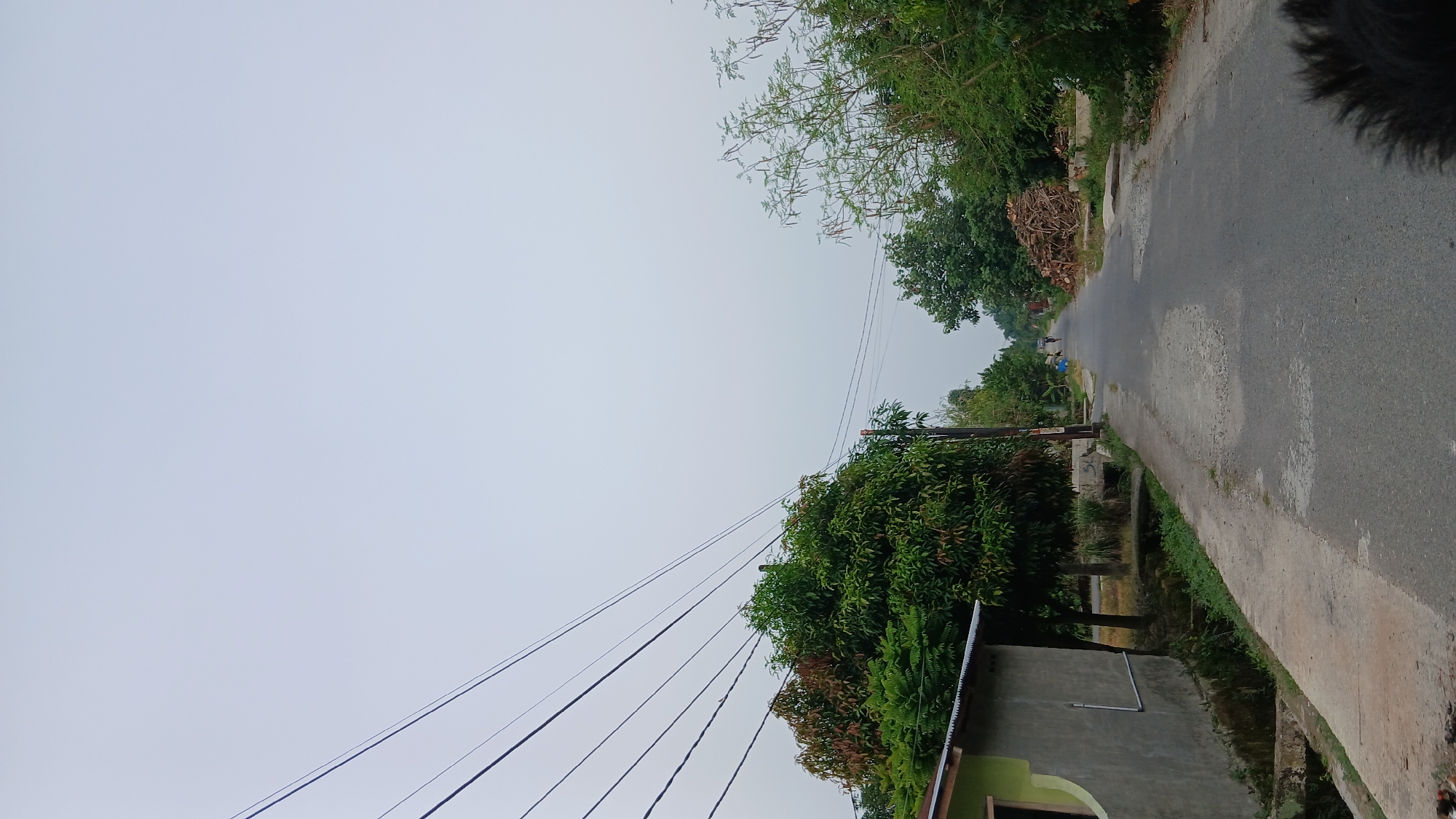 A vertical, eye-level, full-shot photograph depicts a paved road in Klambir Lima Kebun, Indonesia, on an overcast day. The road stretches into the distance, flanked by lush green vegetation and trees on both sides. A small, grey building with a green accent window is visible on the left side of the road, adjacent to a drainage ditch. Overhead, multiple power lines traverse the frame horizontally. In the distance, two figures are walking away from the camera down the road. A pile of stacked firewood rests on the right side of the road. The sky is a pale, uniform grey, indicating a cloudy or misty atmosphere. The foreground of the image shows the edge of a person's dark hair.