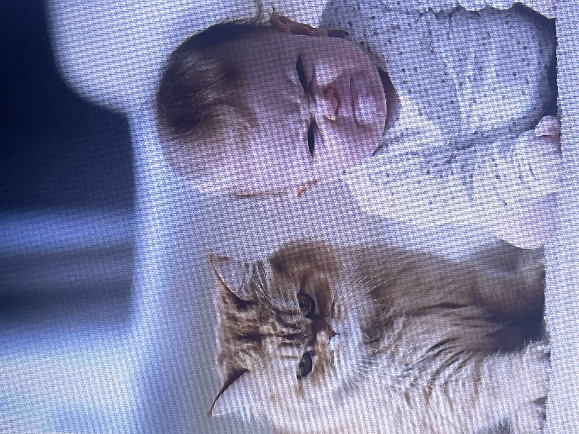 The image shows a close-up view of an orange tabby cat and a baby sitting side-by-side. Both subjects have scowling expressions. The cat is on the left, with its fur looking fluffy and its green eyes narrowed. The baby, on the right, is wearing a light-colored outfit with a pattern of small dark dots and has its eyebrows furrowed and mouth pursed. The background is blurred and appears to be a light blue or grey color. There is no discernible information in the image that places it in Stary Oskol, Russia.