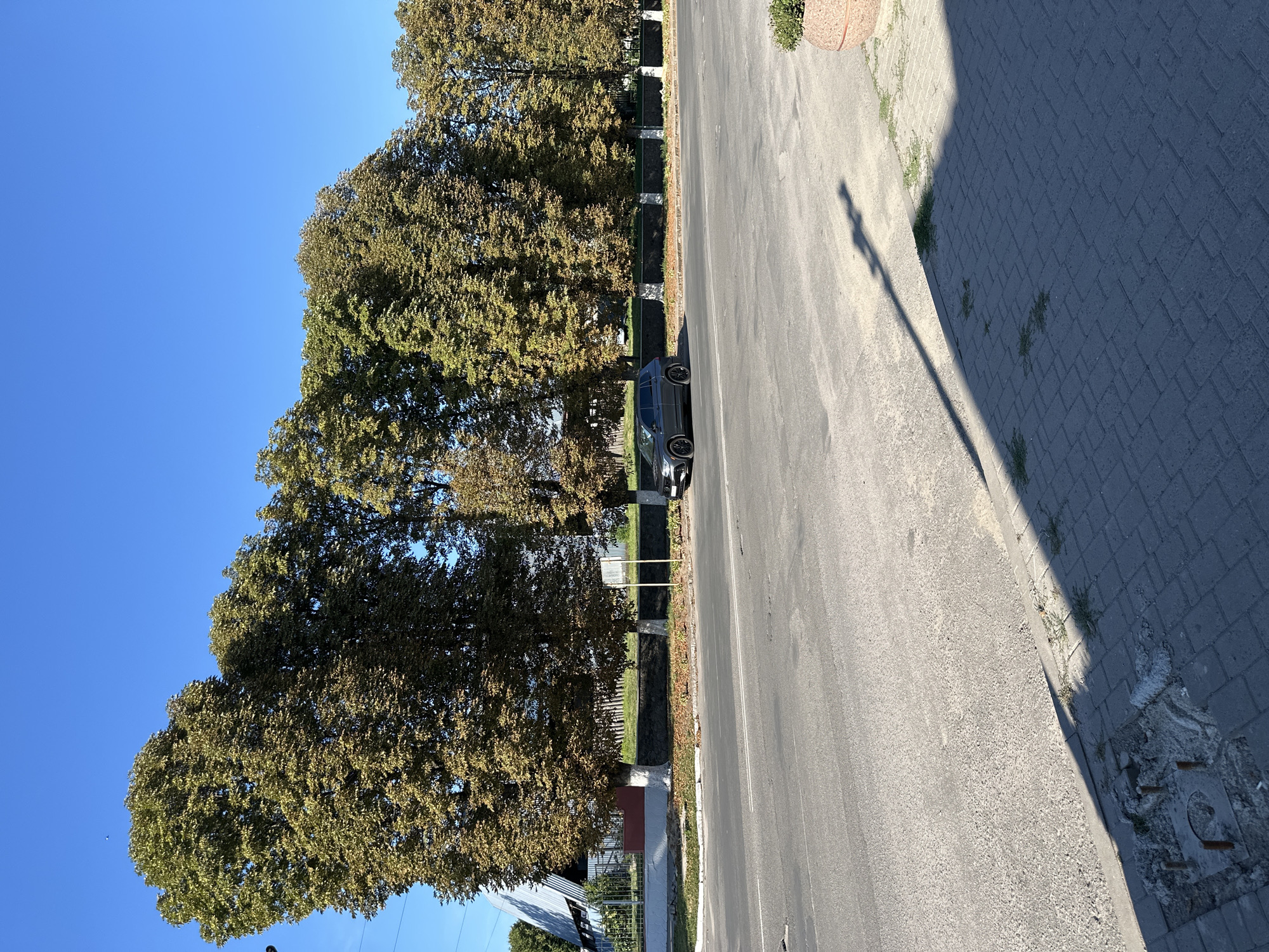 A dark grey SUV is parked on the side of a paved road in Khmilnyk, Ukraine. The road is bordered by a sidewalk made of grey interlocking pavers and a curb. A shadow of a streetlamp stretches across the sidewalk and road, indicating it is daytime. Behind the road, a low stone wall with a decorative white border runs along a strip of ground covered in fallen leaves. Behind the wall, a line of large trees with predominantly green and brown foliage are in full leaf. Some of the trees have their lower trunks painted white. In the background, a building with a metallic, angular roof is visible. The sky is a clear, bright blue.