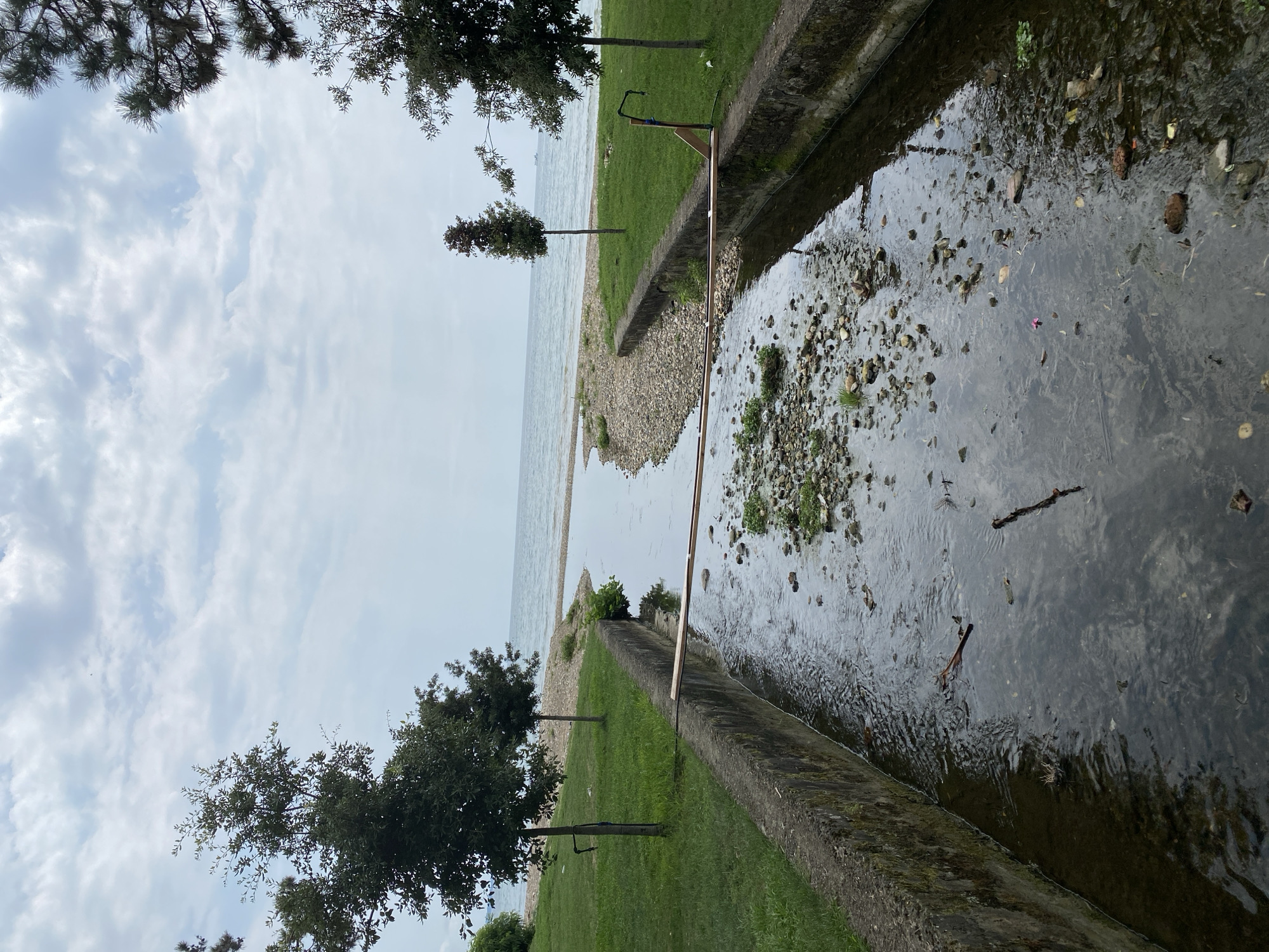 The image depicts a canal leading to the Black Sea in Sokhumi, Abkhazia. The canal, lined with concrete walls, contains flowing water with visible debris including rocks, twigs, and a single pink flower. A wooden plank spans the canal. On the grassy banks, several trees are present. The background shows a pebble beach, the sea, and a cloudy sky. There are no people visible in the scene.