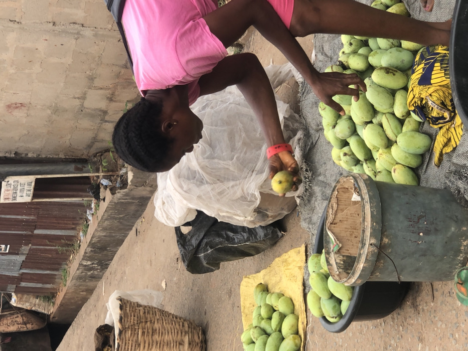 A woman wearing pink clothes crouches near piles of green mangoes arranged for sale. She holds a mango in her right hand, her left hand resting on the pile. The mangoes are displayed on a gray sack, a yellow cloth, and inside a black bucket. A white net sits between the woman and the mangoes, while a woven basket is visible in the lower left corner. The setting appears to be an outdoor market area.